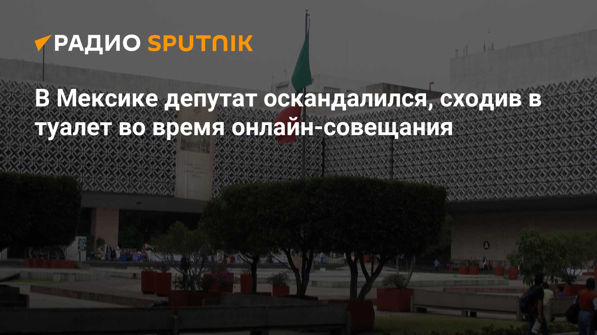 В Мексике депутат оскандалился, сходив в туалет во время онлайн-совещания