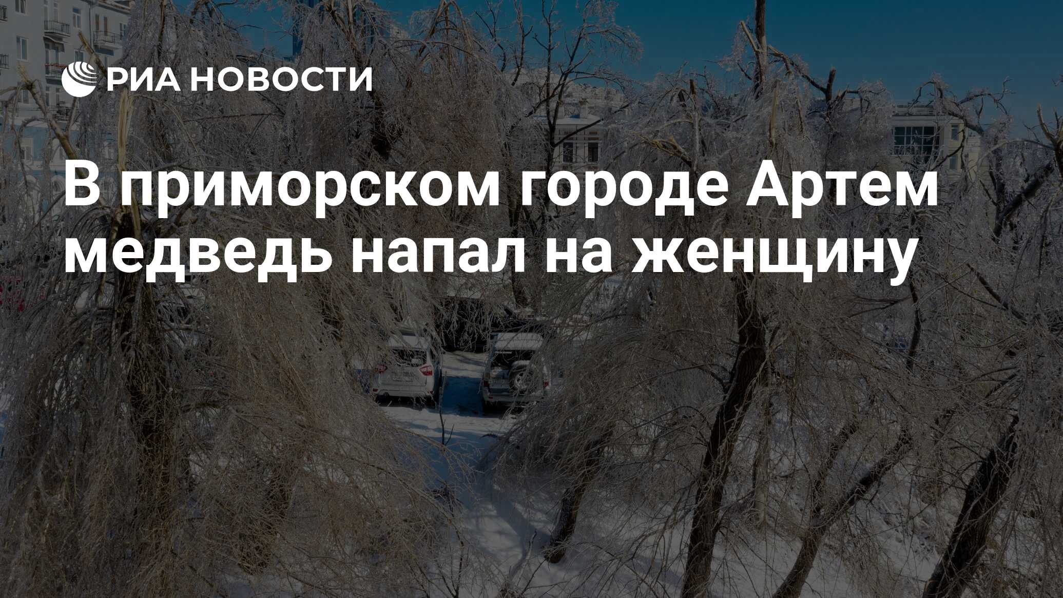 В приморском городе Артем медведь напал на женщину - РИА Новости, 30.11.2021