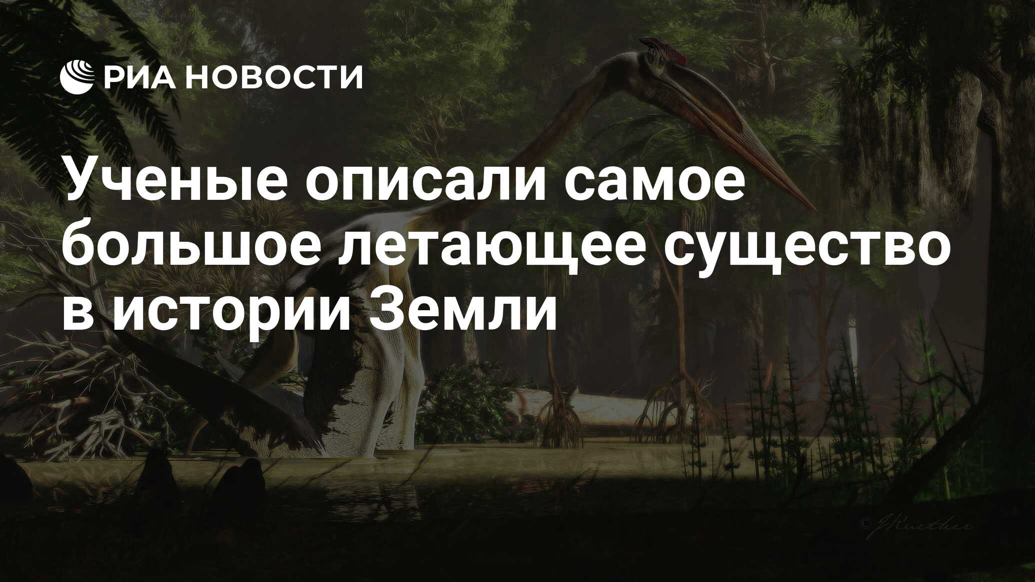 Самое большое существо в мире за всю историю земли фото