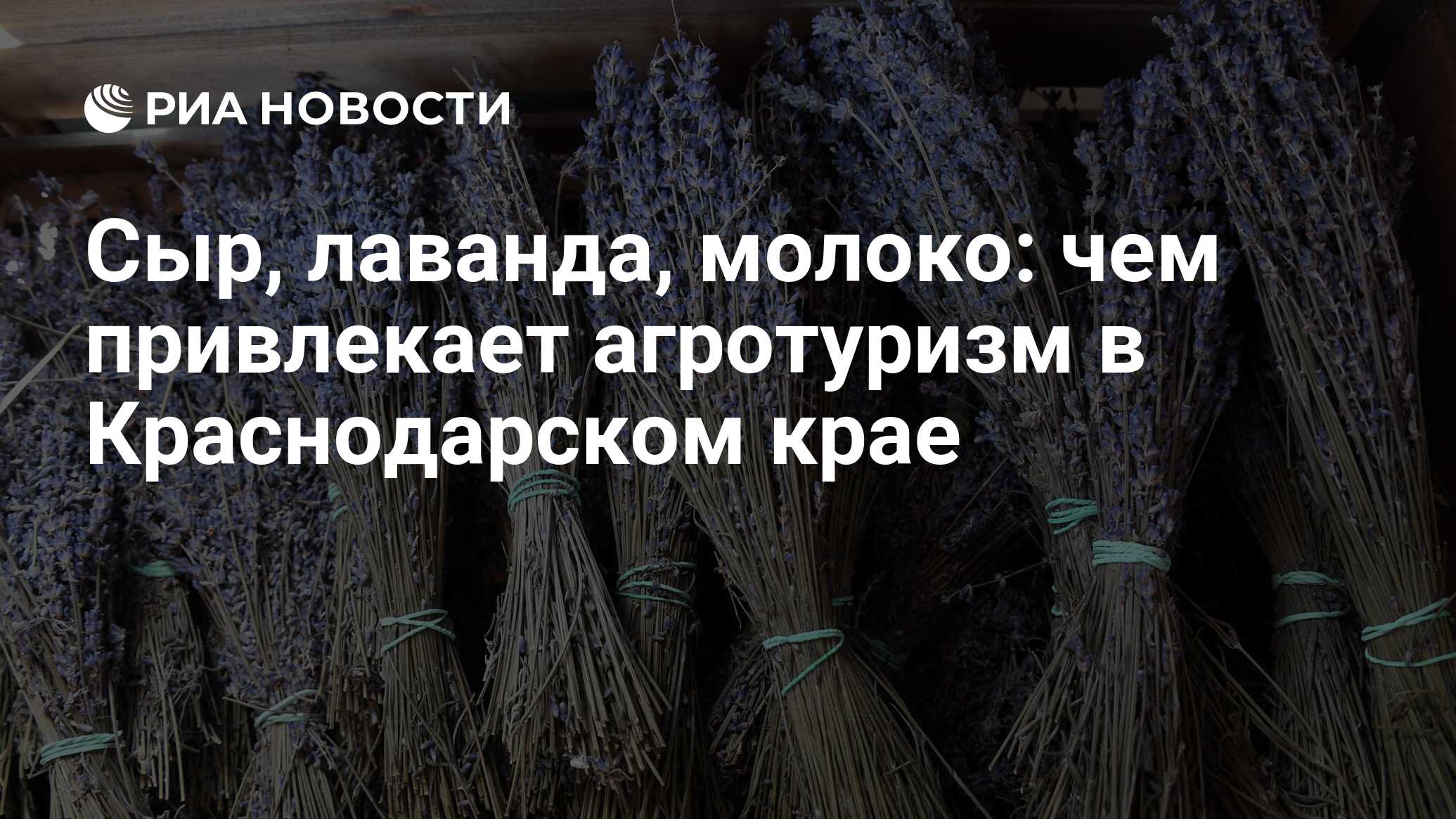 Сыр, лаванда, молоко: чем привлекает агротуризм в Краснодарском крае - РИА  Новости, 10.12.2021