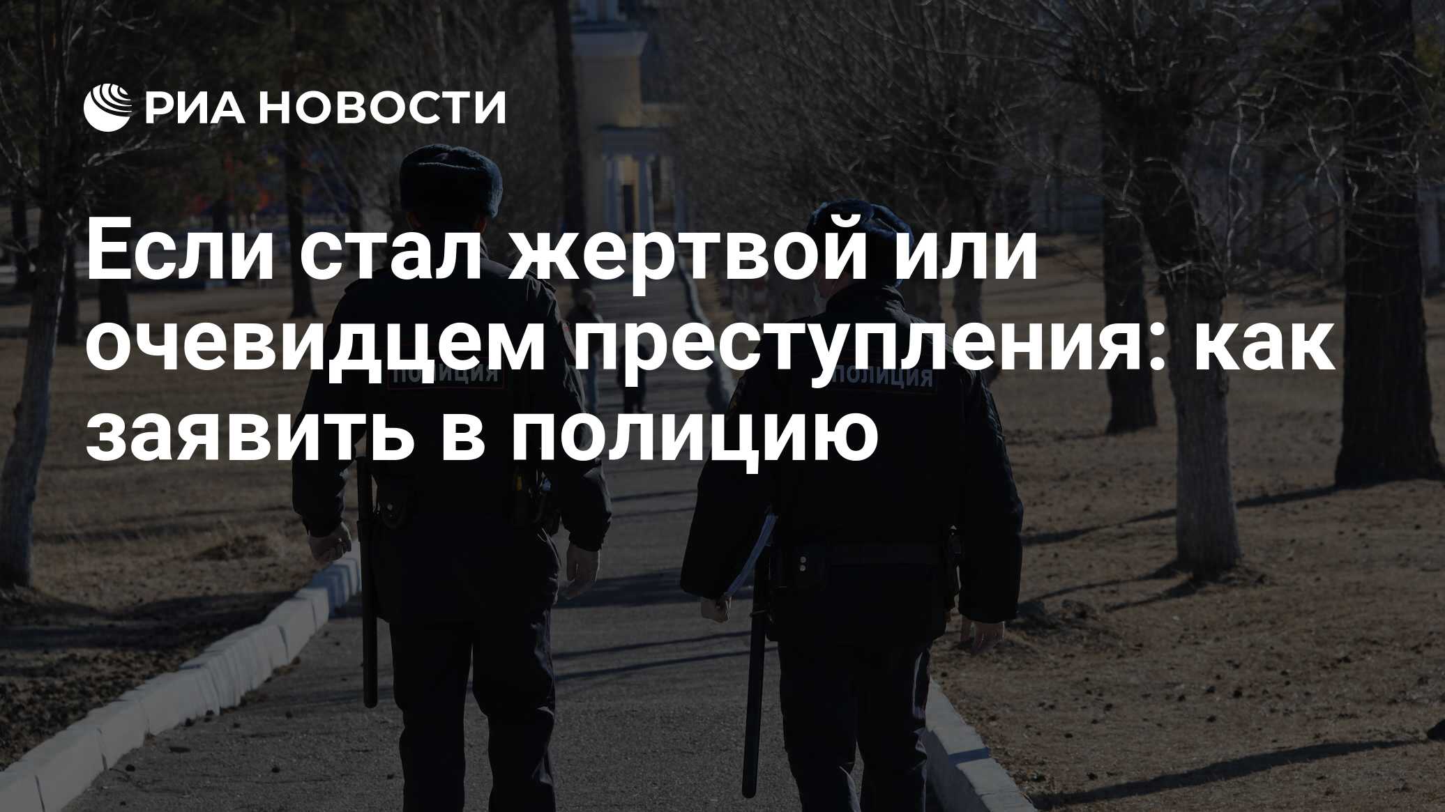 Как подать заявление в полицию: правильное написание и образец