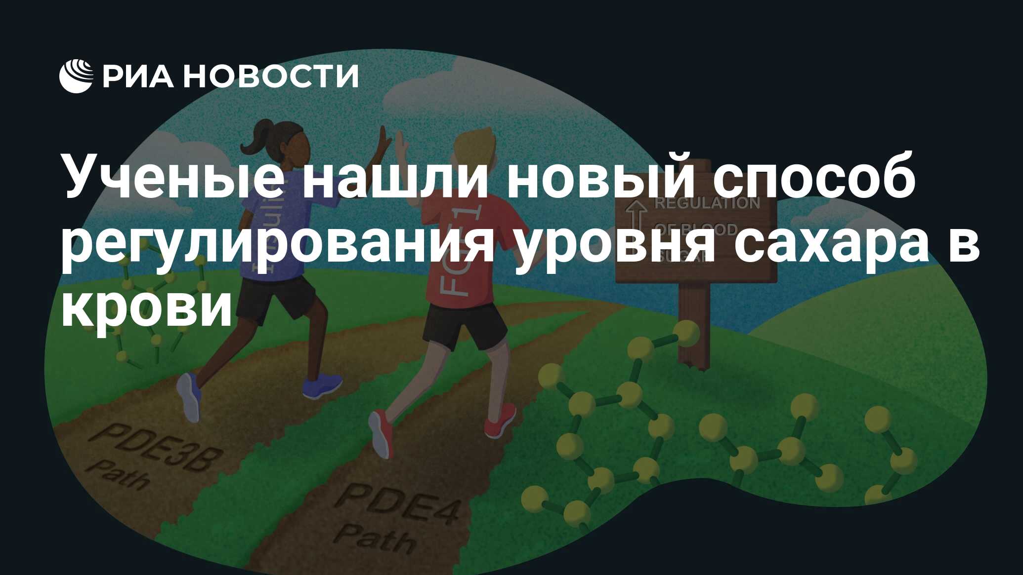 Ученые нашли новый способ регулирования уровня сахара в крови - РИА  Новости, 04.01.2022