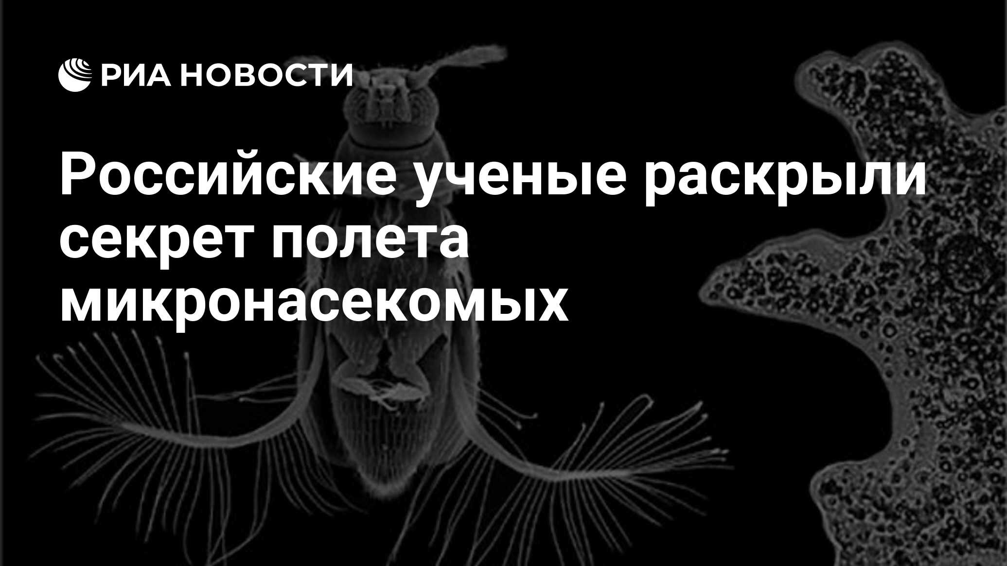 Теория болтовни ученые раскрыли тайну лидерства