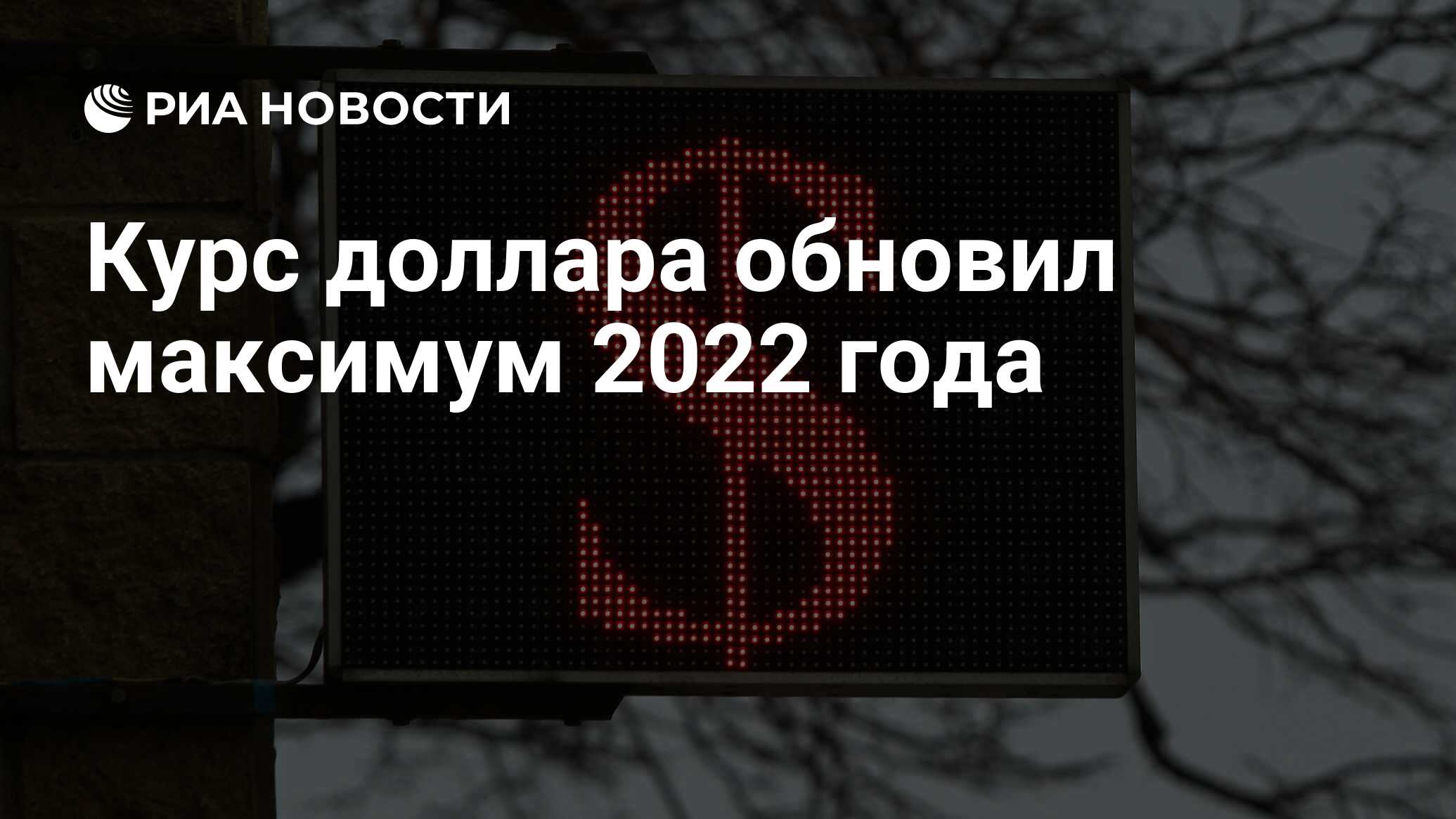 Новые курсы 2022