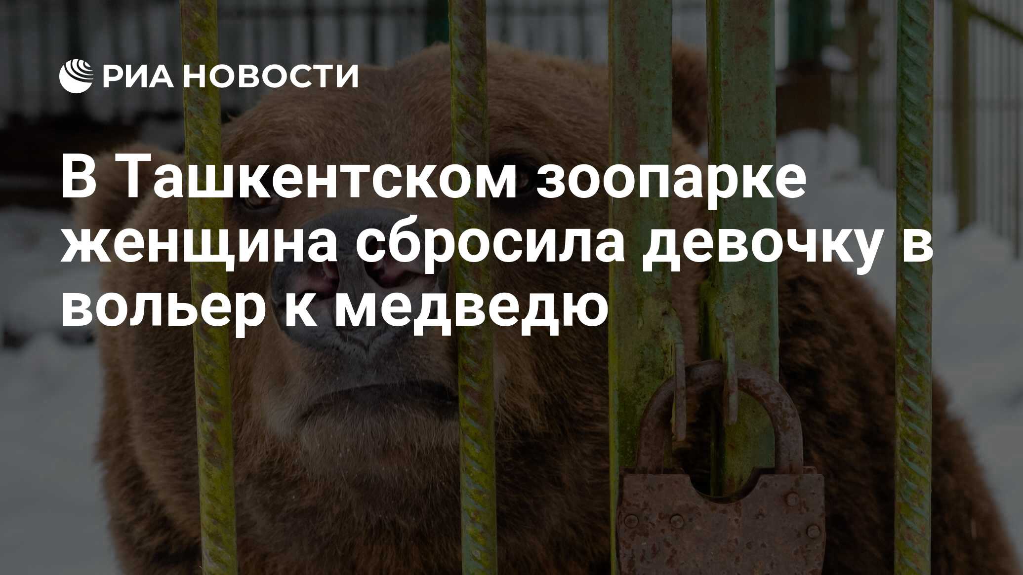 В Ташкентском зоопарке женщина сбросила девочку в вольер к медведю - РИА  Новости, 31.01.2022