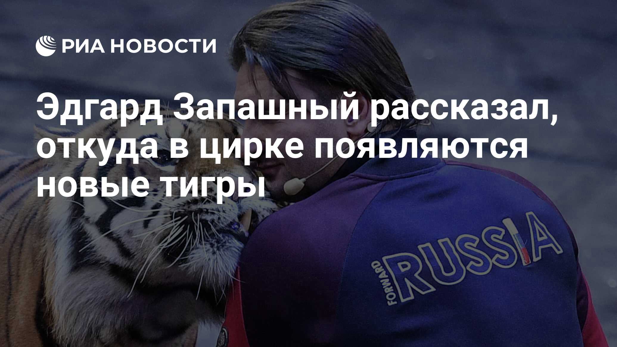 Эдгард Запашный рассказал, откуда в цирке появляются новые тигры - РИА  Новости, 07.02.2022