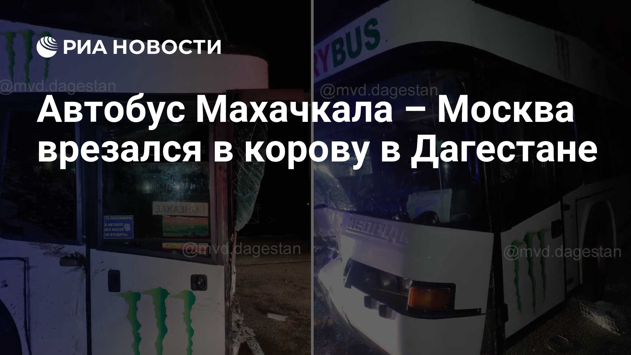 Автобус Махачкала – Москва врезался в корову в Дагестане - РИА Новости,  08.02.2022