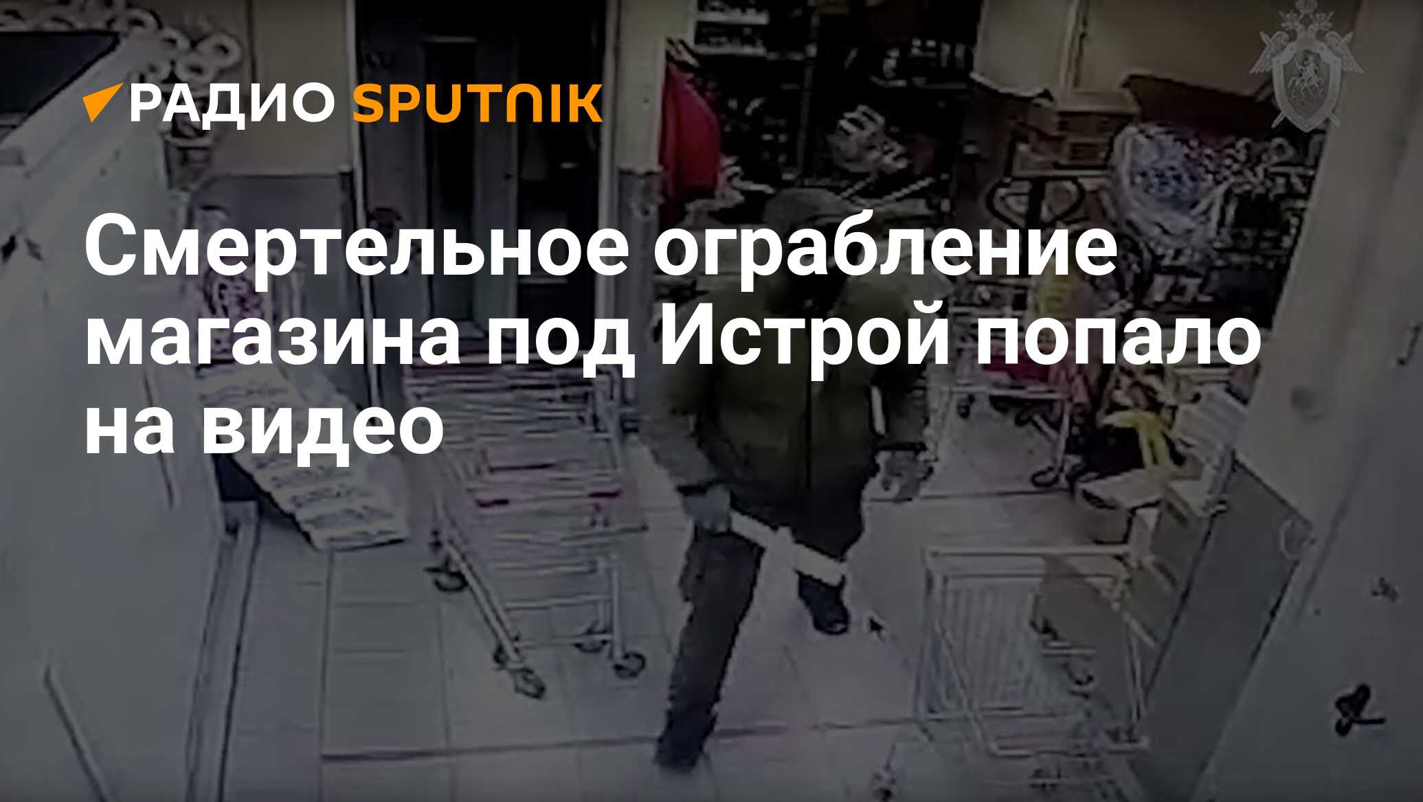 Смертельное ограбление магазина под Истрой попало на видео