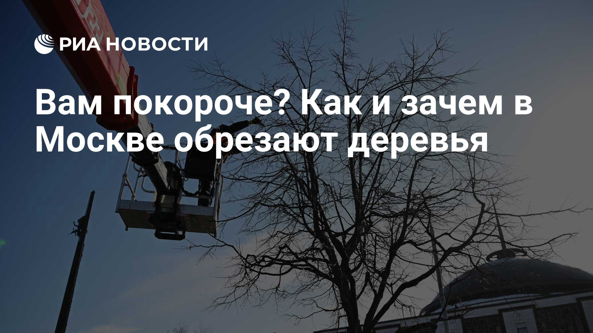 Вам покороче? Как и зачем в Москве обрезают деревья - РИА Новости,  18.04.2022