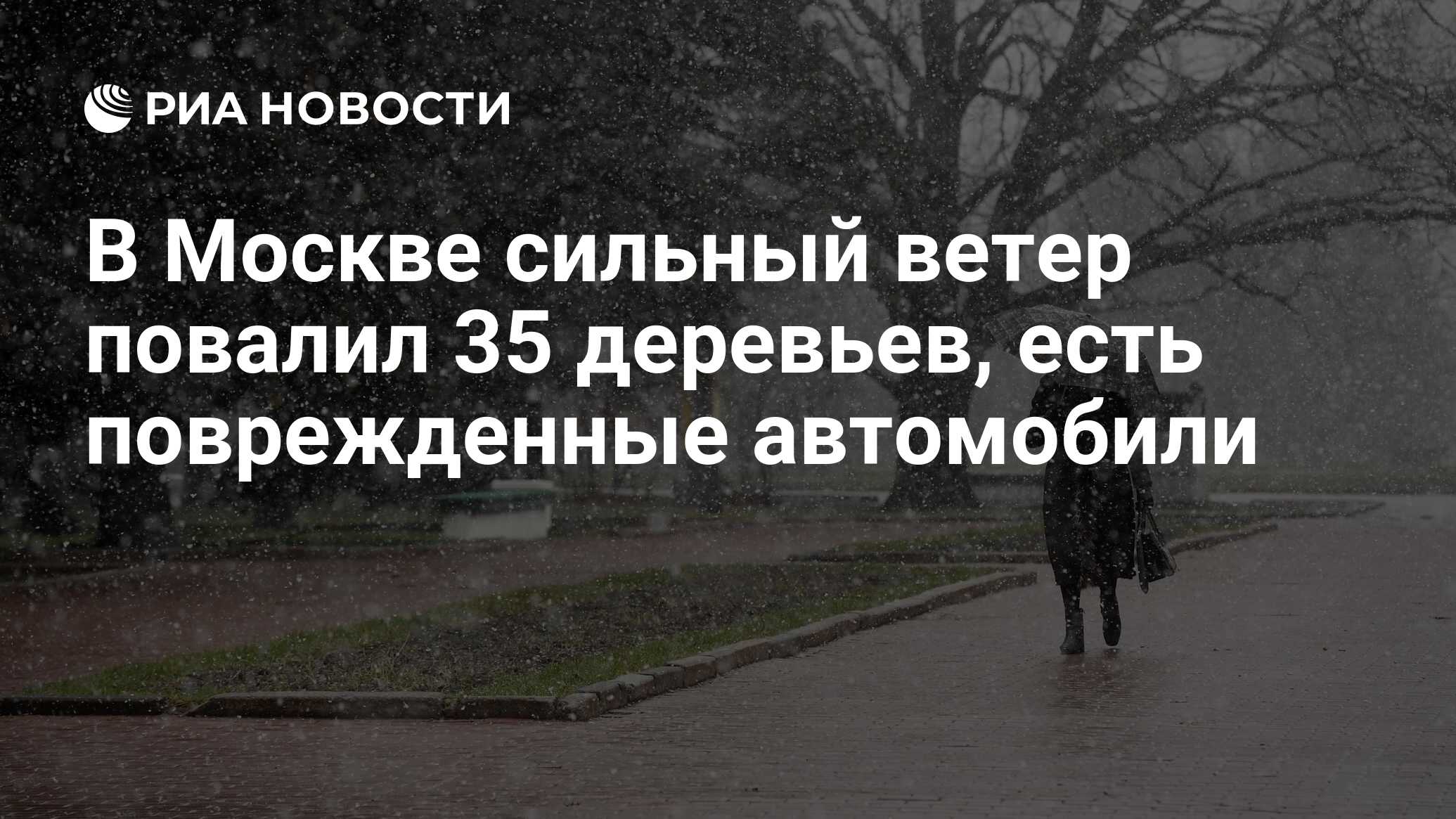 В Москве сильный ветер повалил 35 деревьев, есть поврежденные автомобили -  РИА Новости, 26.03.2022