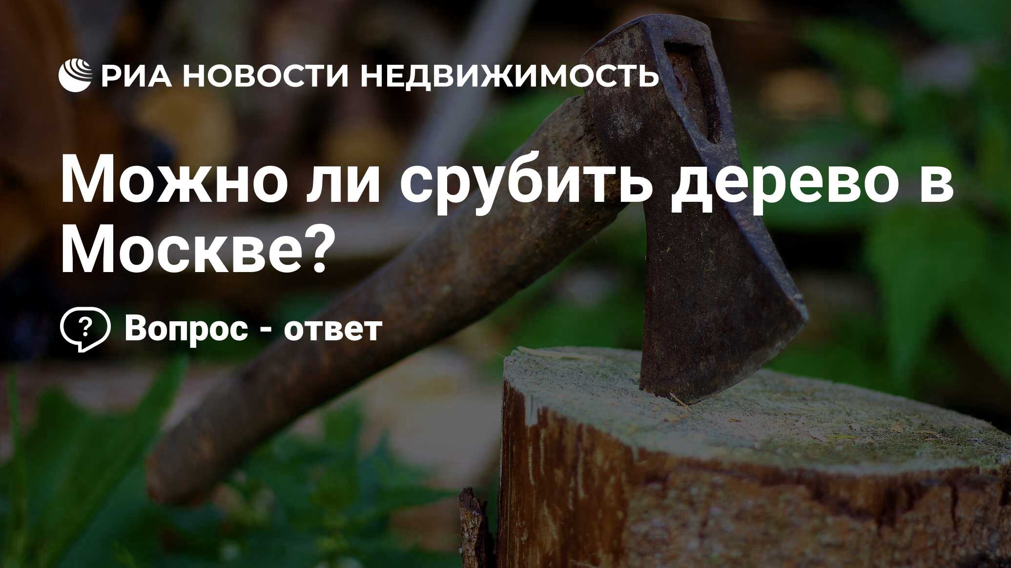 Можно ли срубить дерево в Москве? - Недвижимость РИА Новости, 31.03.2022