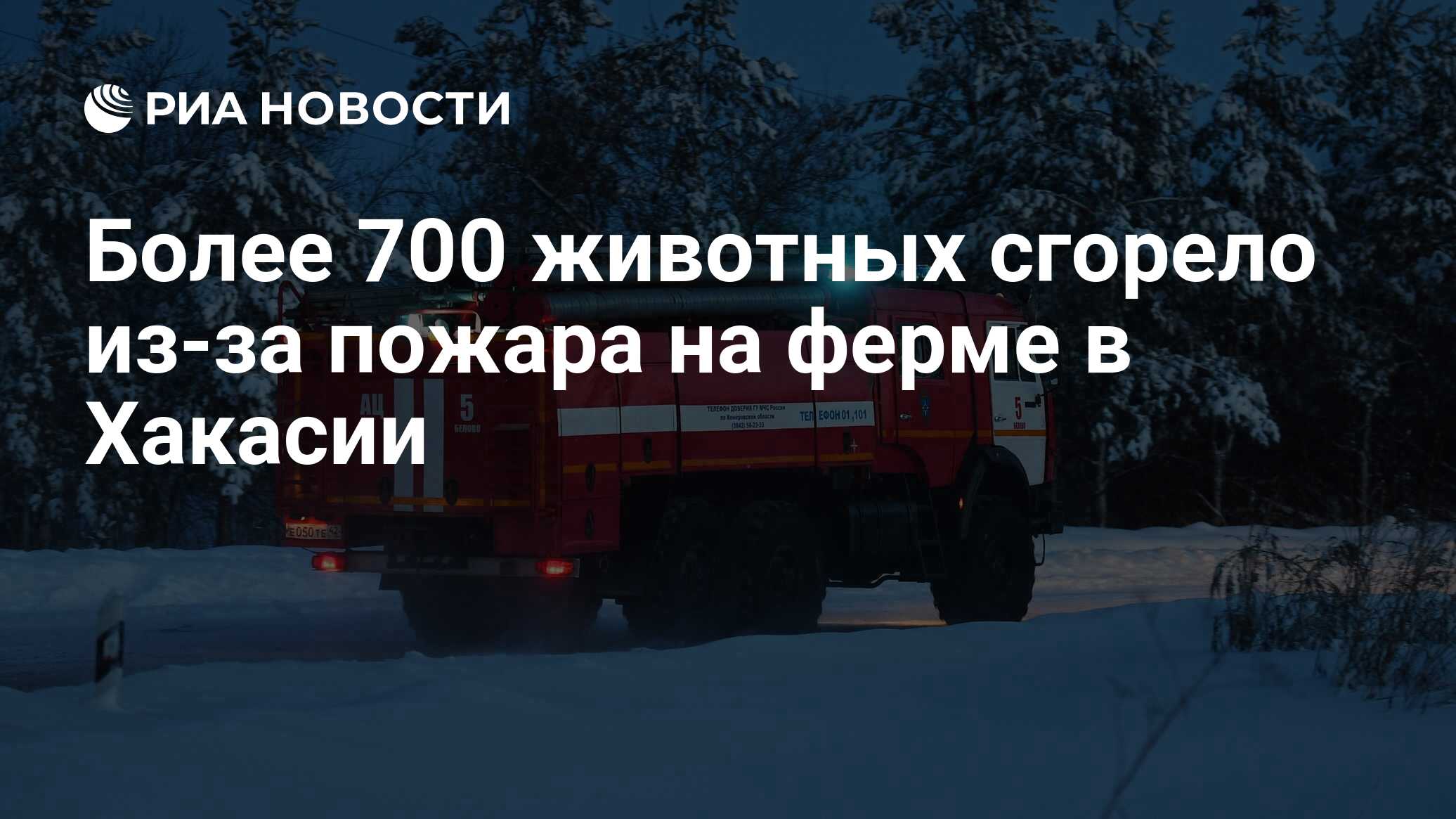 Более 700 животных сгорело из-за пожара на ферме в Хакасии - РИА Новости,  02.04.2022