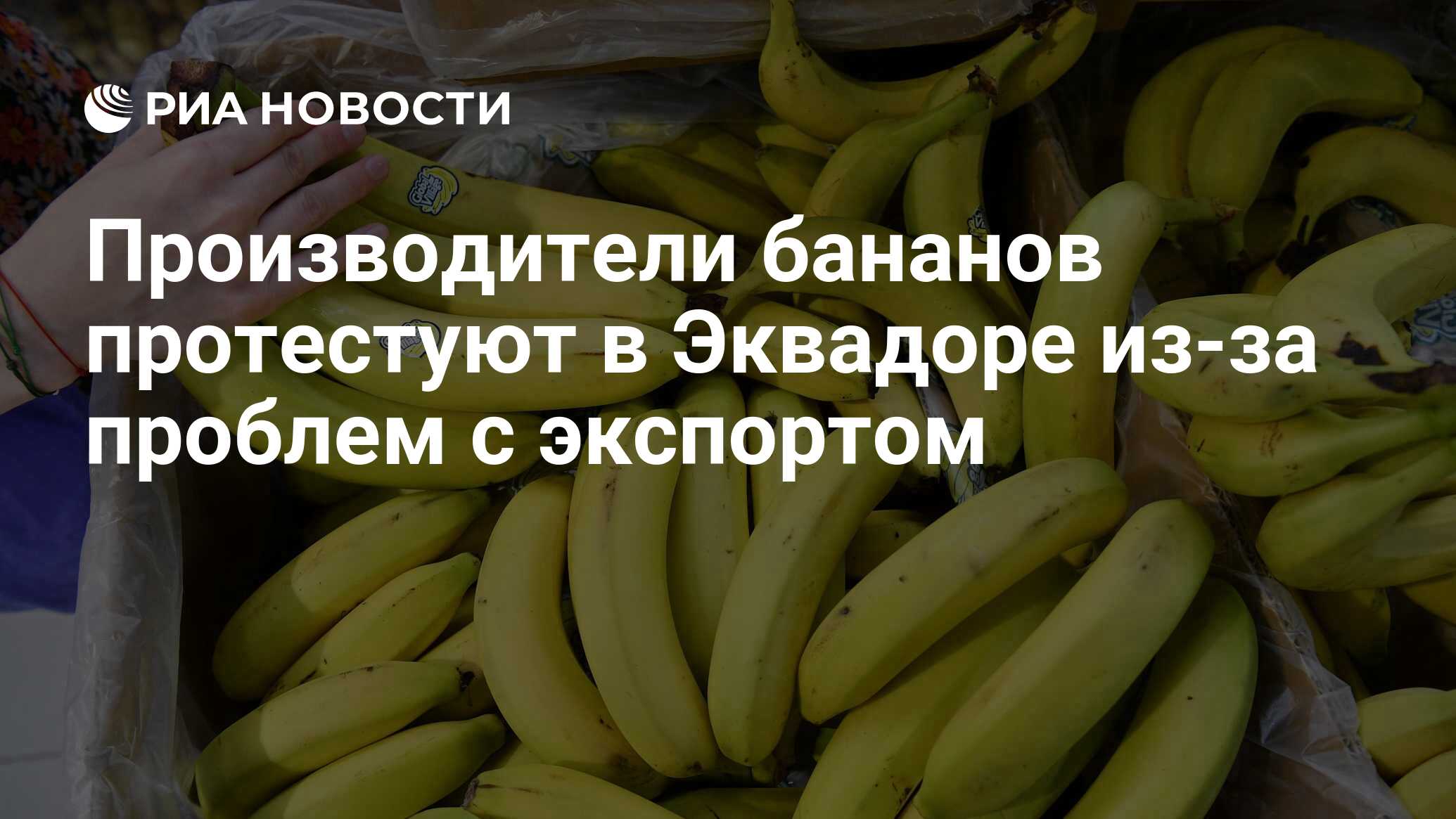 Страны экспортирующие бананы