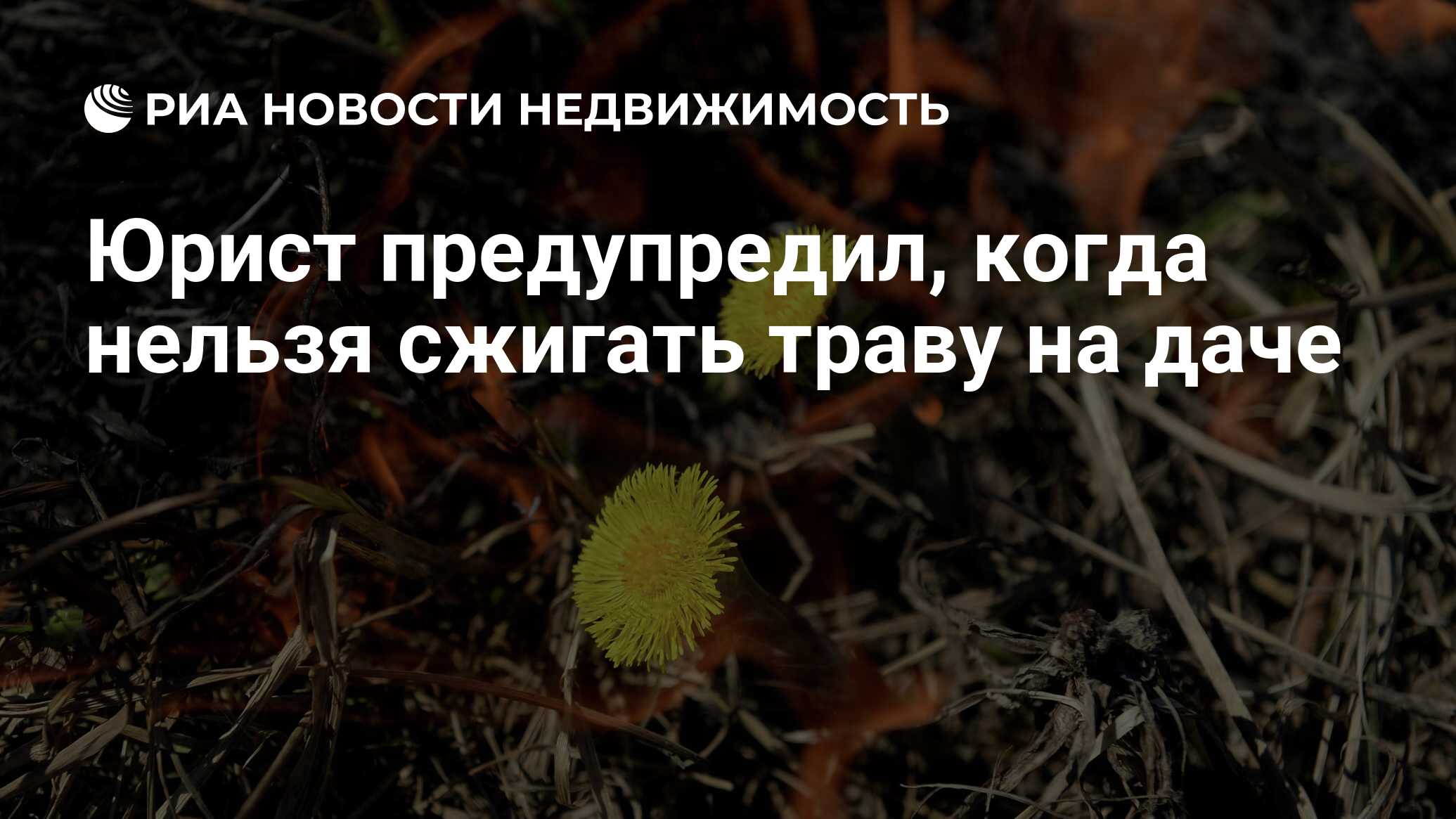 Юрист предупредил, когда нельзя сжигать траву на даче - Недвижимость РИА  Новости, 01.05.2022