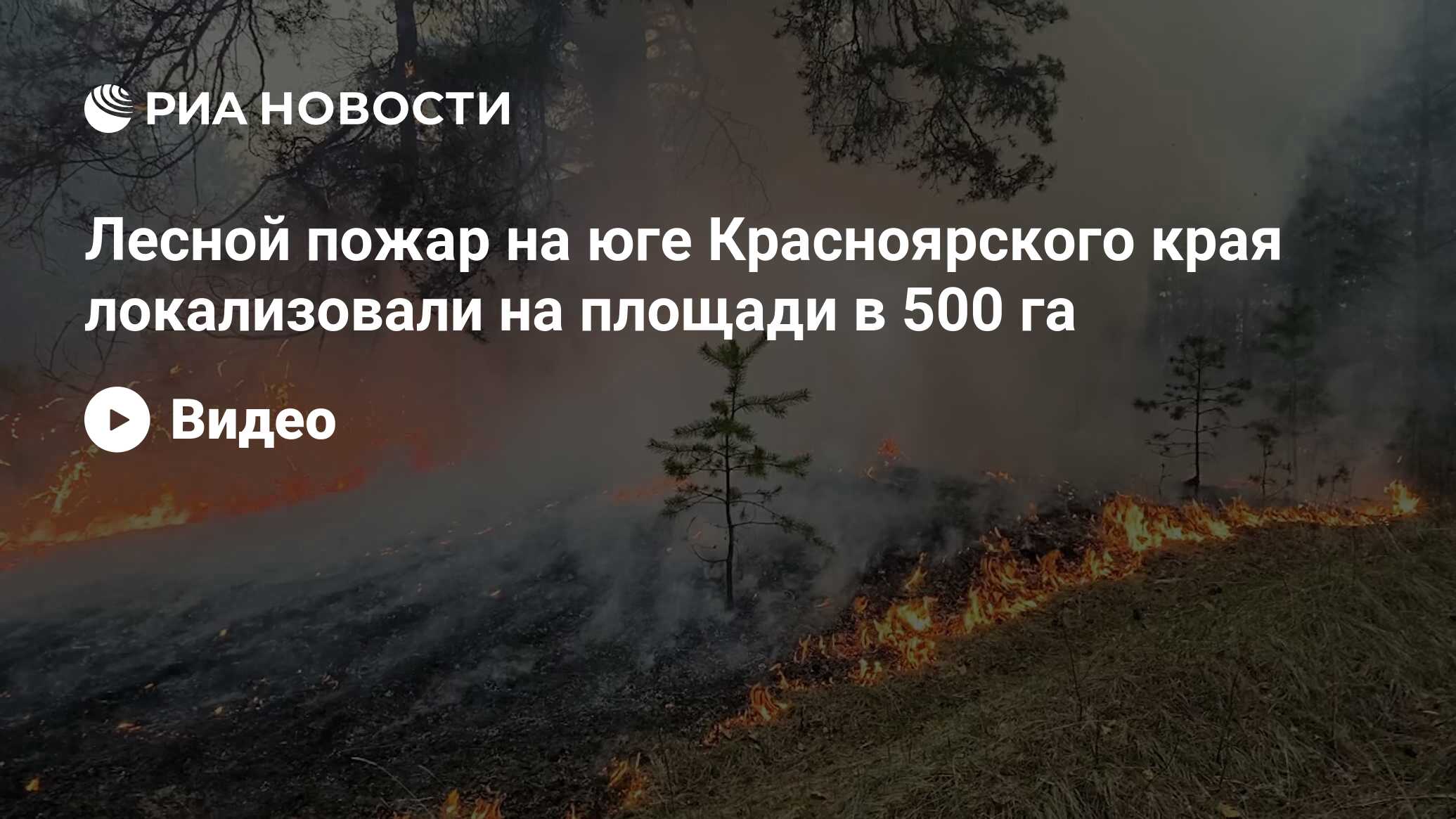 Лесной план краснодарского края на 2019 2028