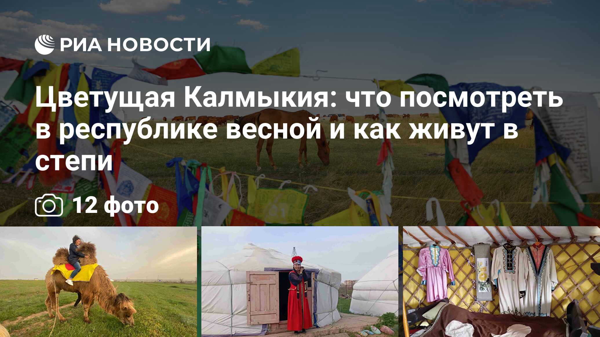 Цветущая Калмыкия: что посмотреть в республике весной и как живут в степи -  РИА Новости, 05.05.2022