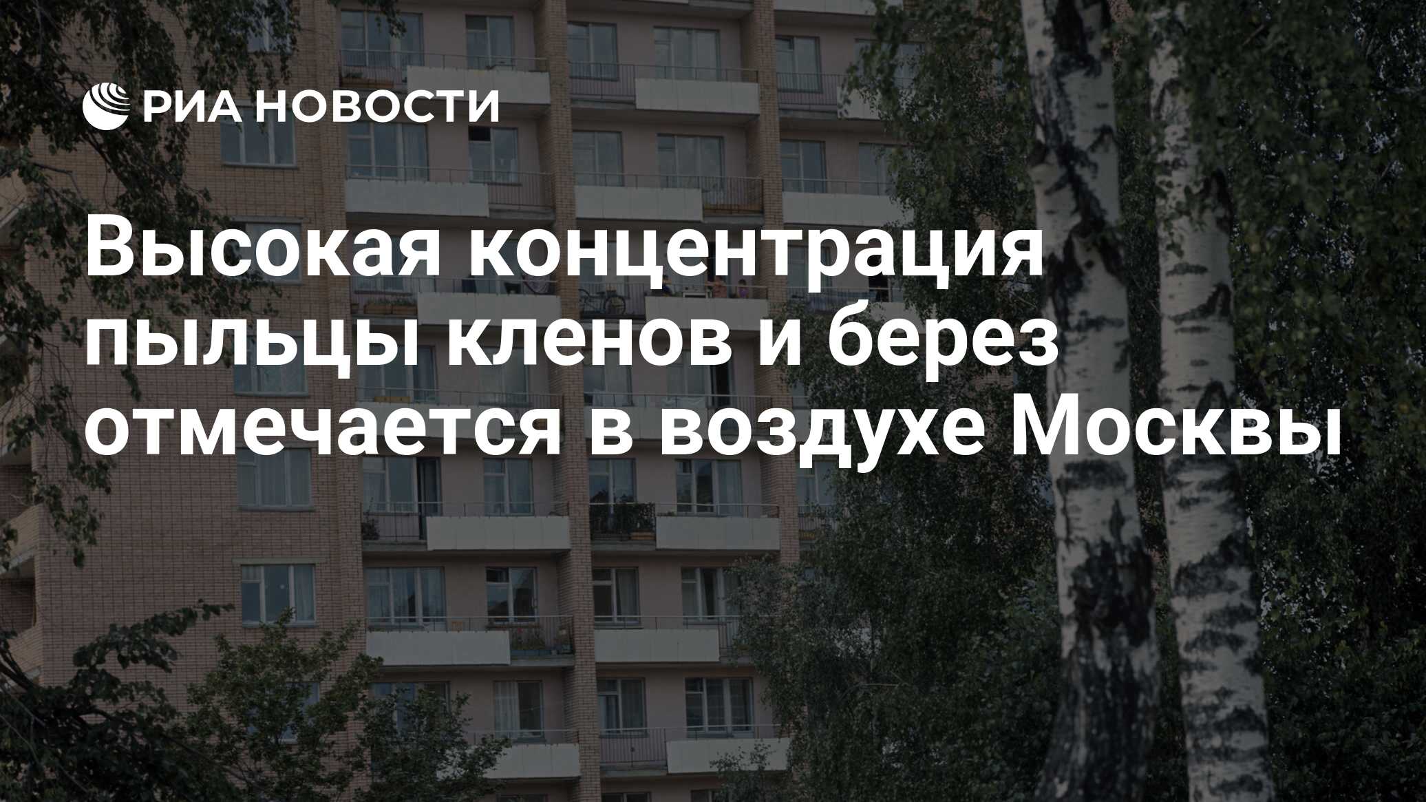 Карта березовой пыльцы в воздухе в москве