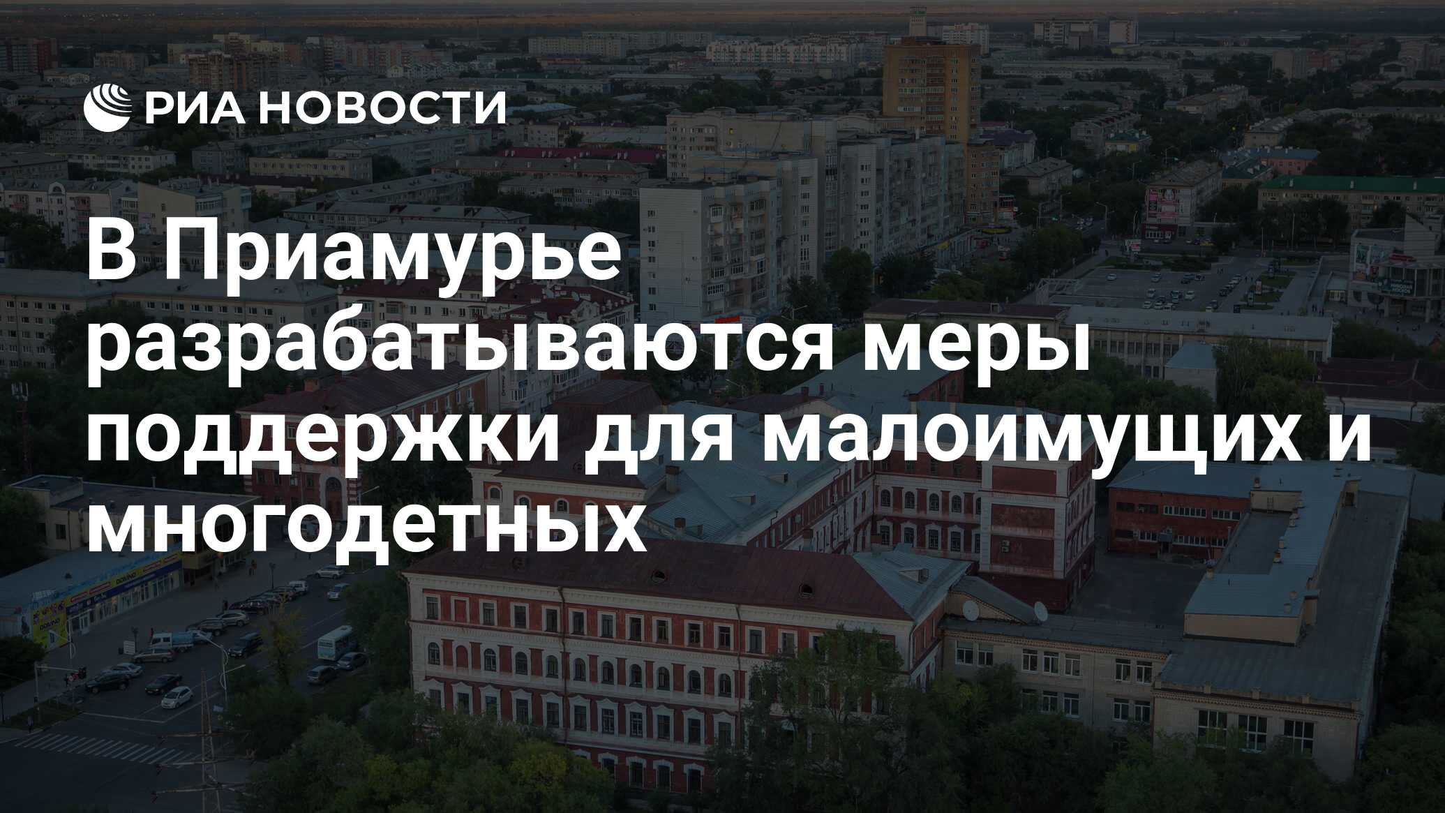 В Приамурье разрабатываются меры поддержки для малоимущих и многодетных  РИА Новости, 23.05.2022