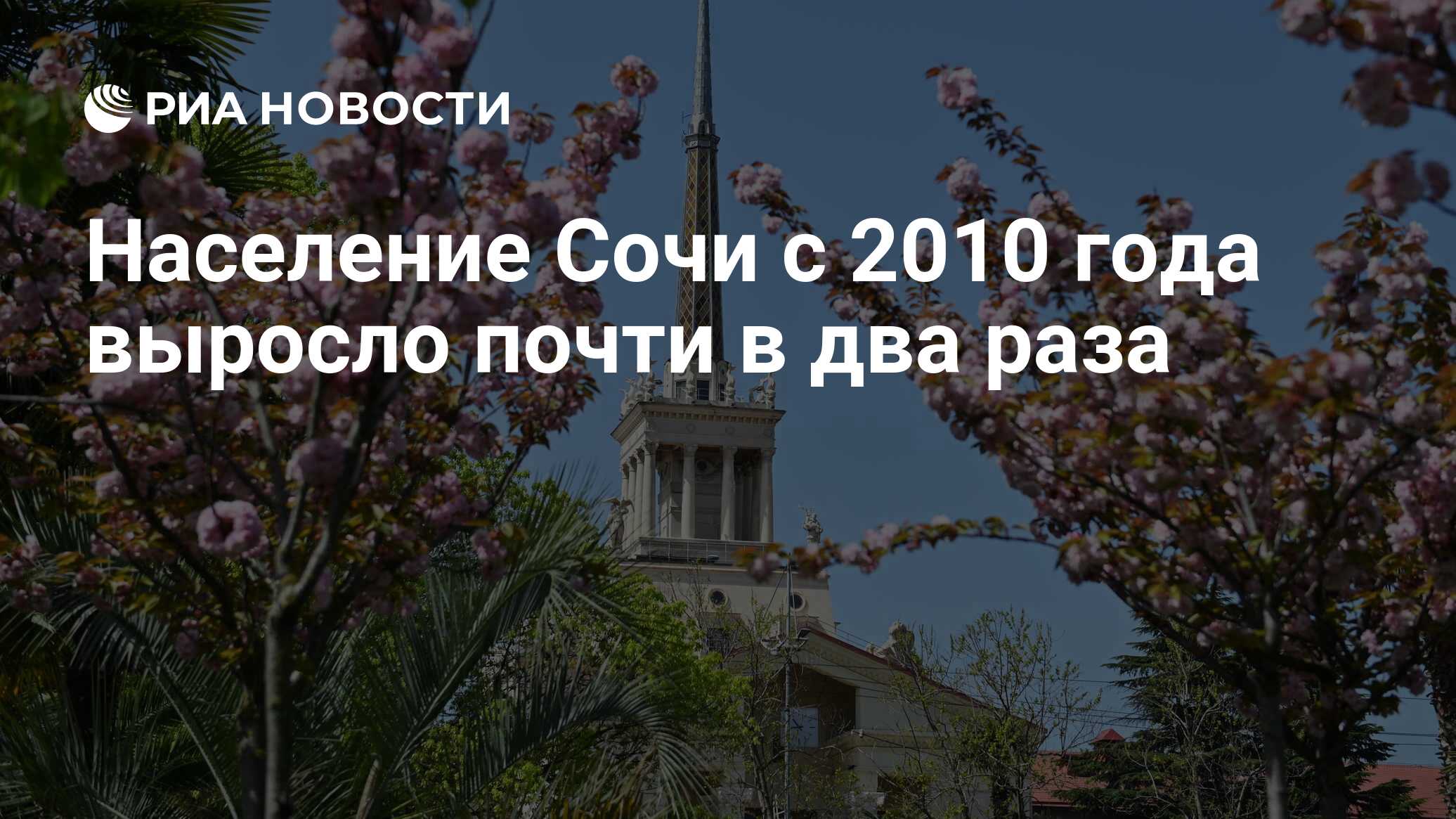 Численность населения сочи на 2024 год