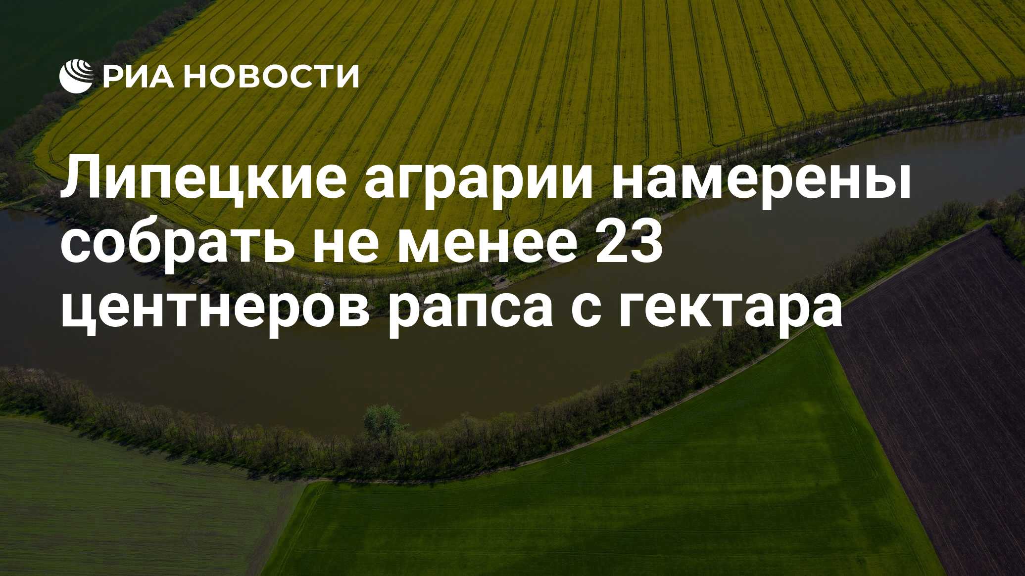Солдат енстранхерос в боливии. Сколько всего цифр существует. Не менее 23. Человек в лесу. Не менее 23.