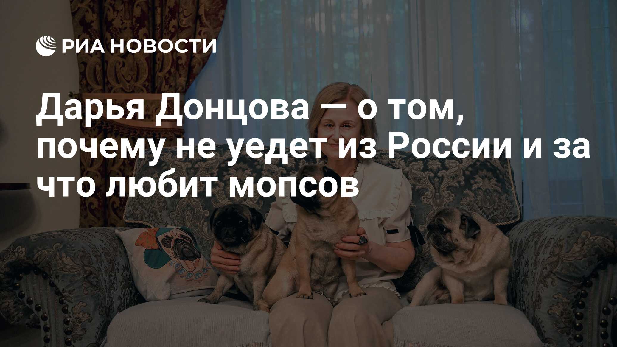 Дарья Донцова — о том, почему не уедет из России и за что любит мопсов -  РИА Новости, 06.07.2022