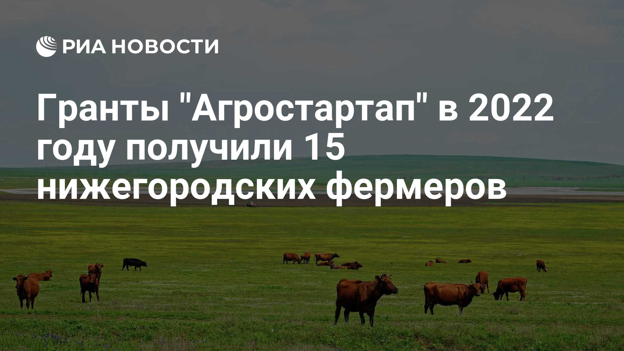 Грант агростартап 2024. Начинающий фермер 2022 Грант. Фермерство Нижегородской области 2022 год. Гранты фермерам. С днем российского фермера картинки.