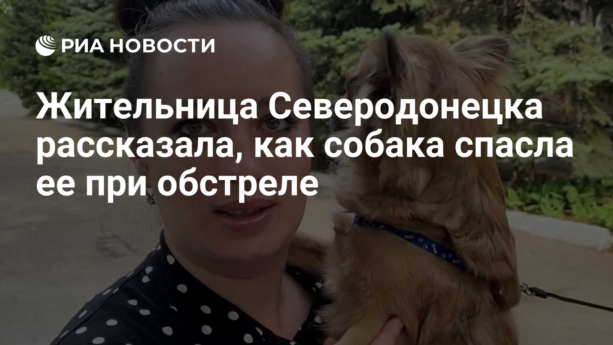 Жительница Северодонецка рассказала, как собака спасла ее при обстреле -  РИА Новости, 07.06.2022