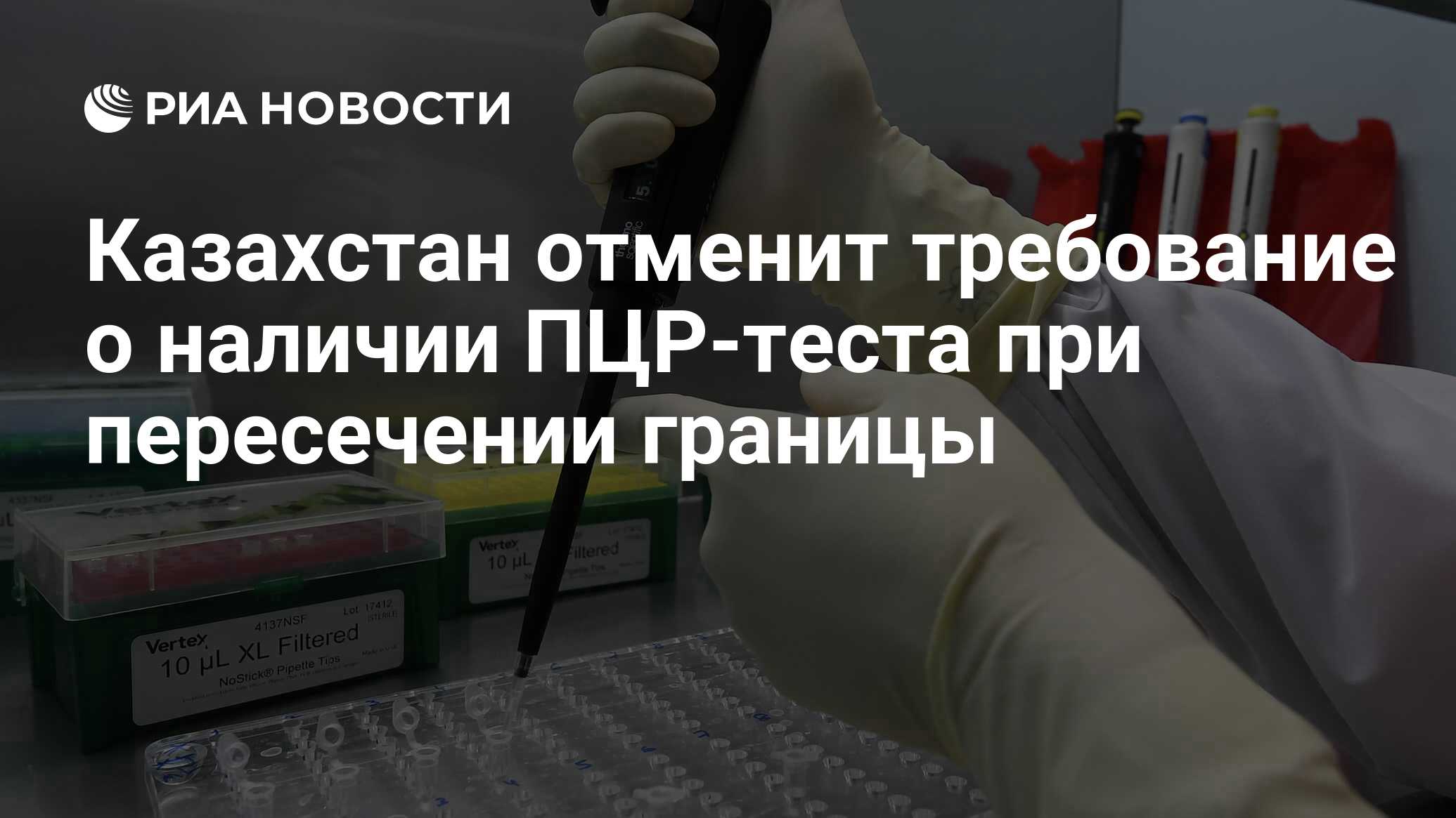 Сколько действителен пцр тест на коронавирус при пересечении границы белоруссии