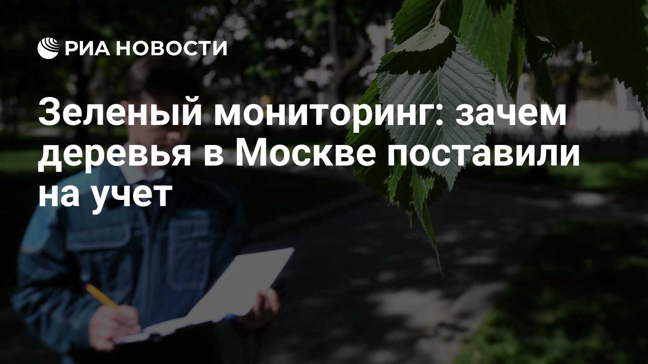 Зеленый мониторинг: зачем деревья в Москве поставили на учет - РИА Новости,  21.06.2022