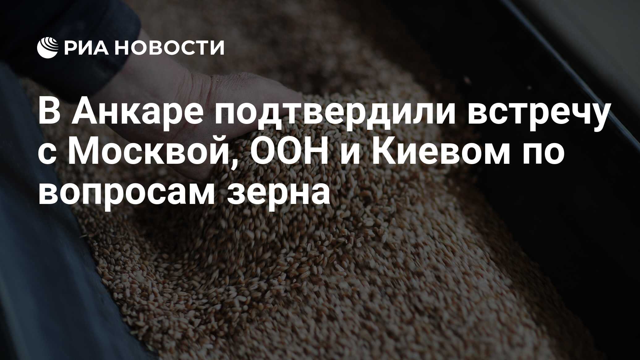 Зерно вопроса. На Украине заявили о падении экспорта зерна на 30%.