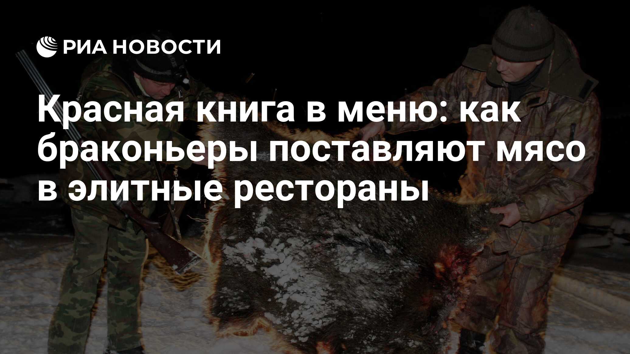 Красная книга в меню: как браконьеры поставляют мясо в элитные рестораны -  РИА Новости, 04.07.2022