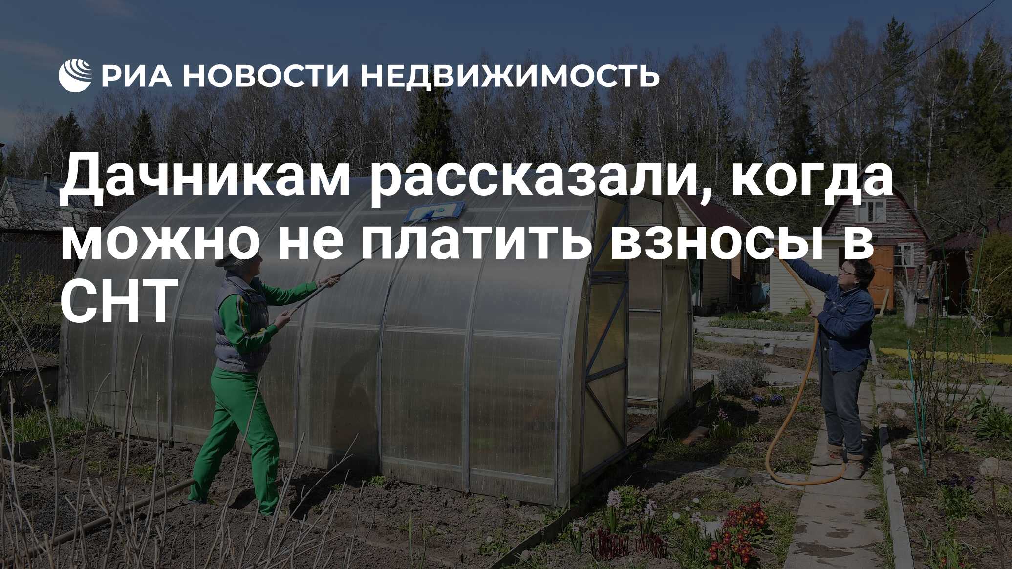 Взносы снт 2024
