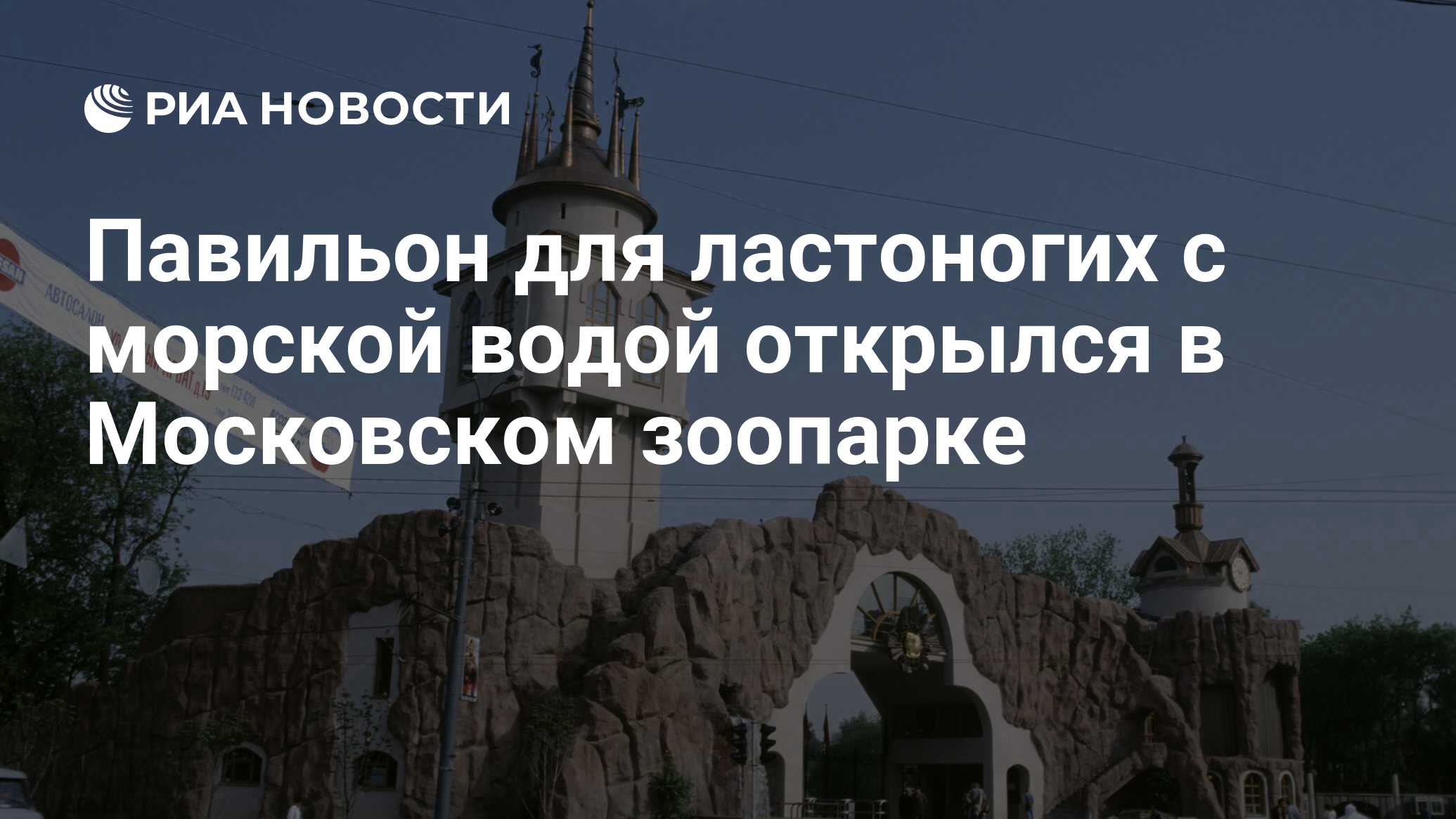 Павильон для ластоногих с морской водой открылся в Московском зоопарке -  РИА Новости, 26.07.2022