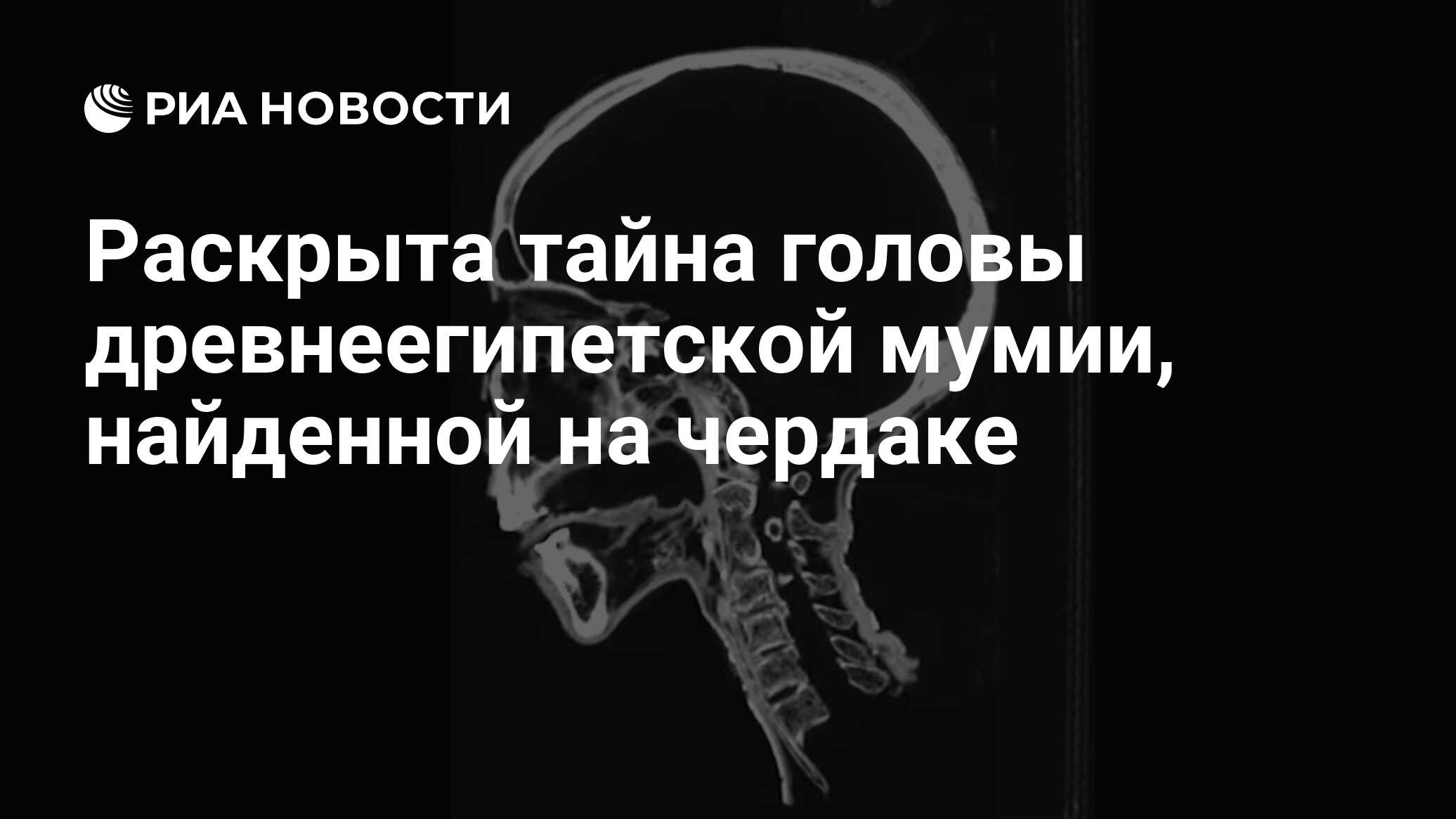 Раскрыта тайна головы древнеегипетской мумии, найденной на чердаке - РИА  Новости, 27.07.2022