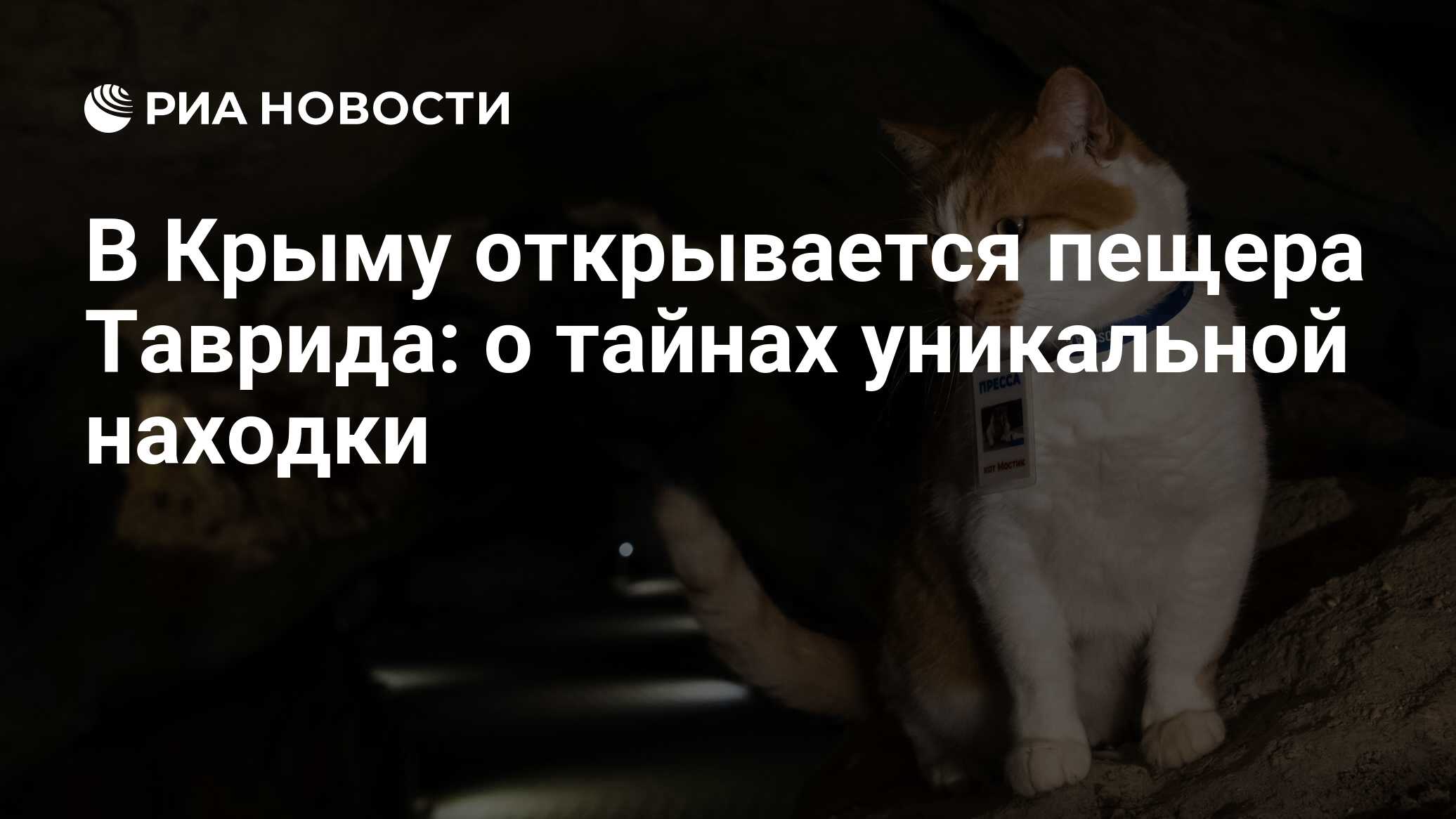 В Крыму открывается пещера Таврида: о тайнах уникальной находки - РИА  Новости, 29.07.2022