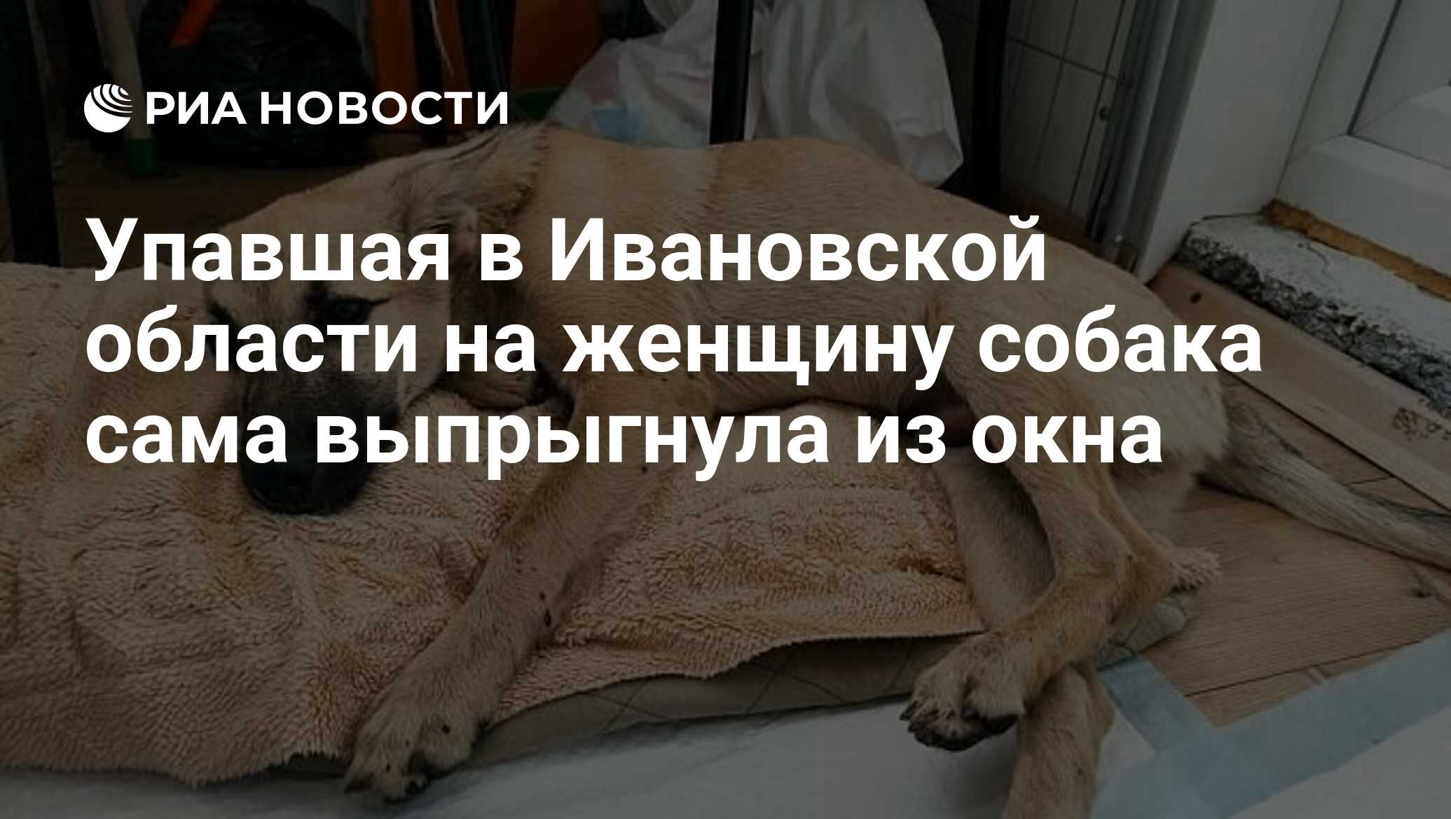 Цитаты про окна в доме