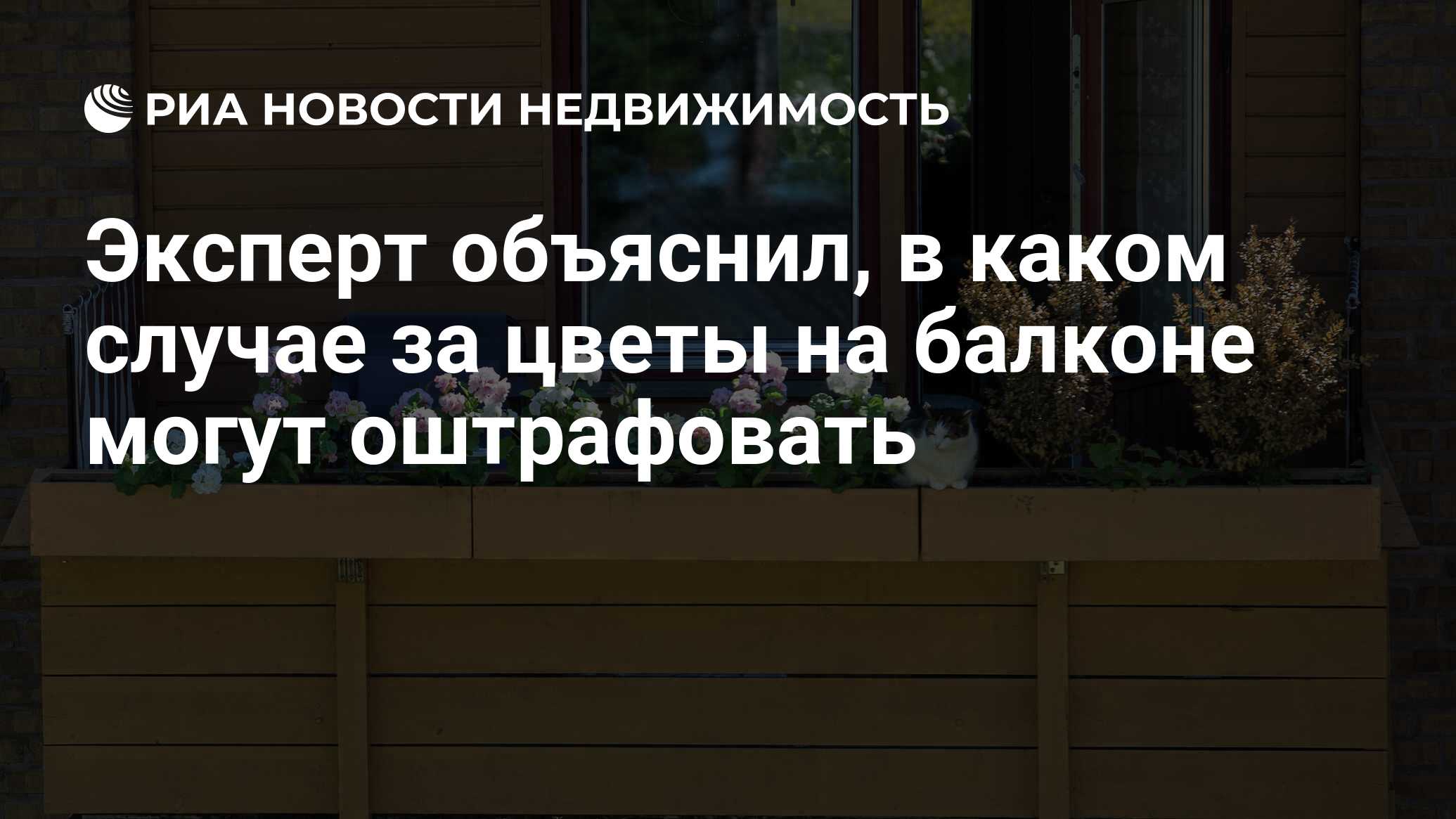 Эксперт объяснил, в каком случае за цветы на балконе могут оштрафовать -  Недвижимость РИА Новости, 29.07.2022