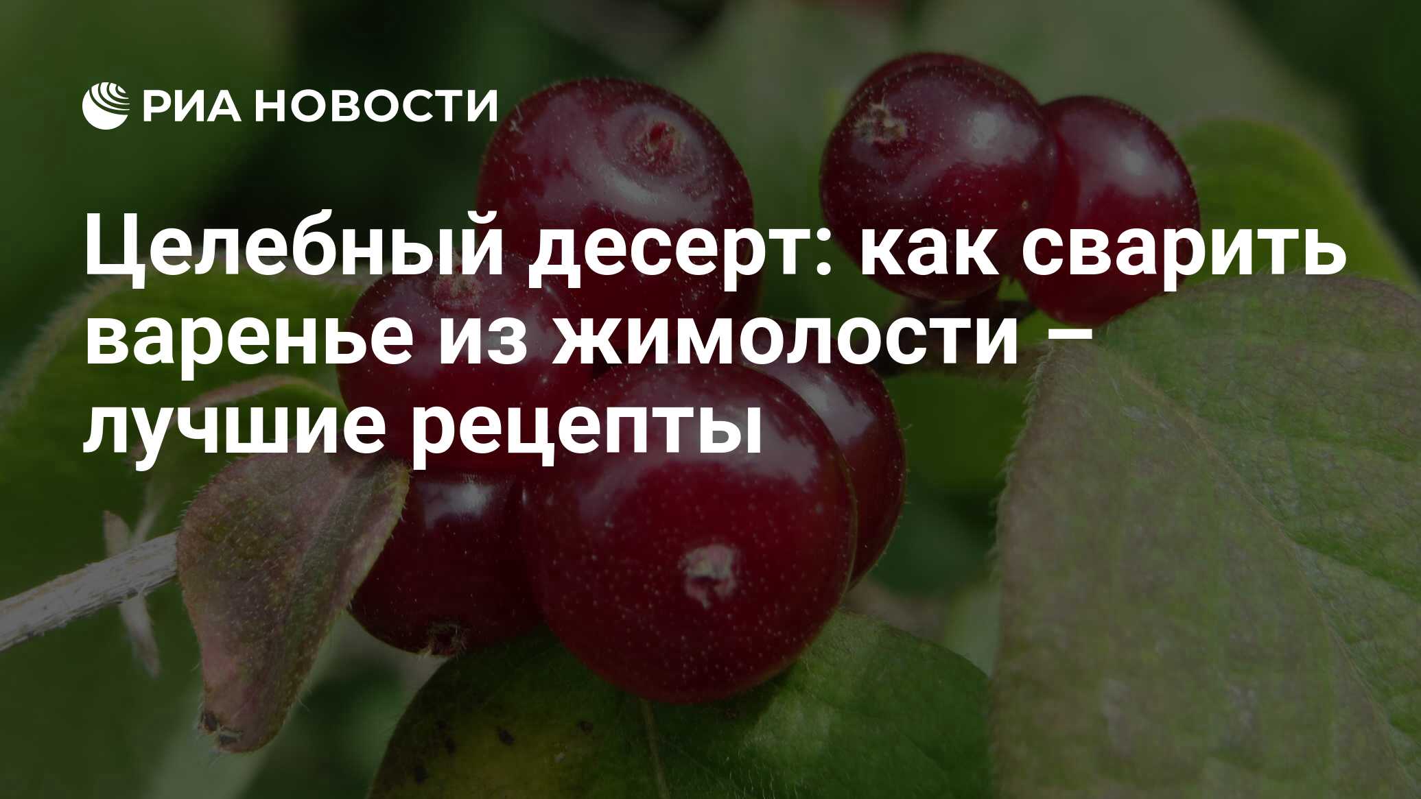 Варенье из жимолости: лучшие рецепты домашнего приготовления на зиму