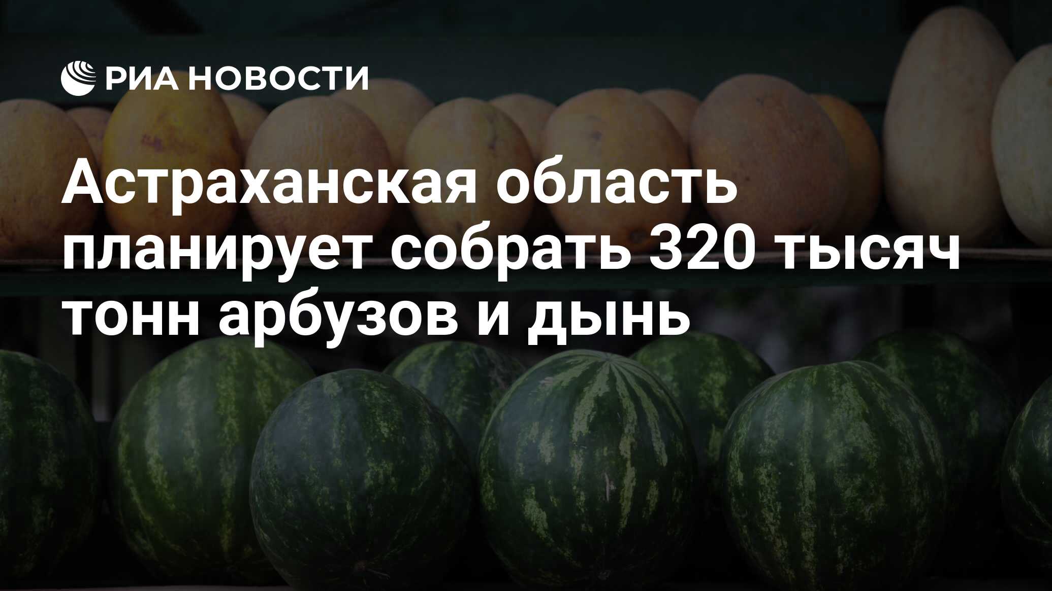 На 2 базах было 45 тонн арбузов