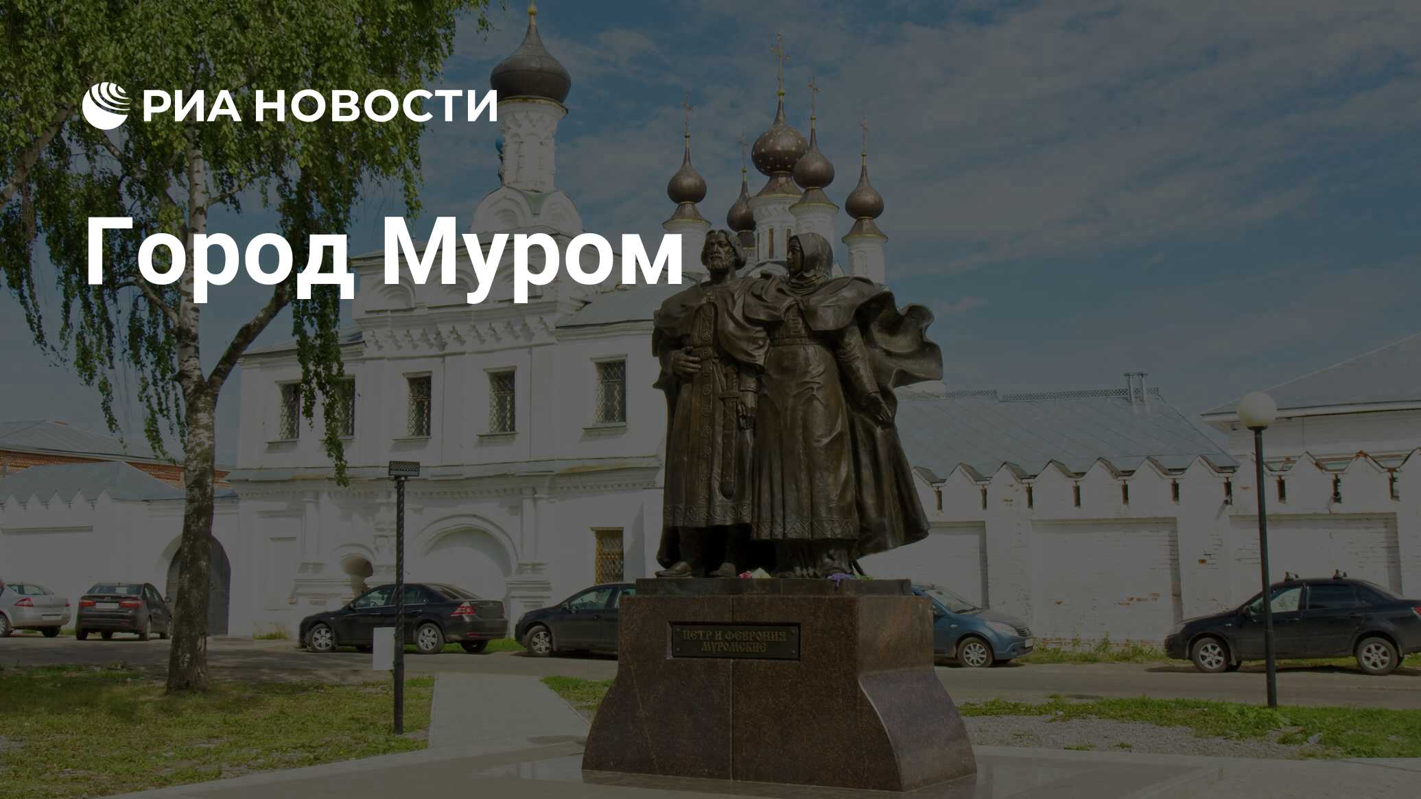 Погода муром владимирская область