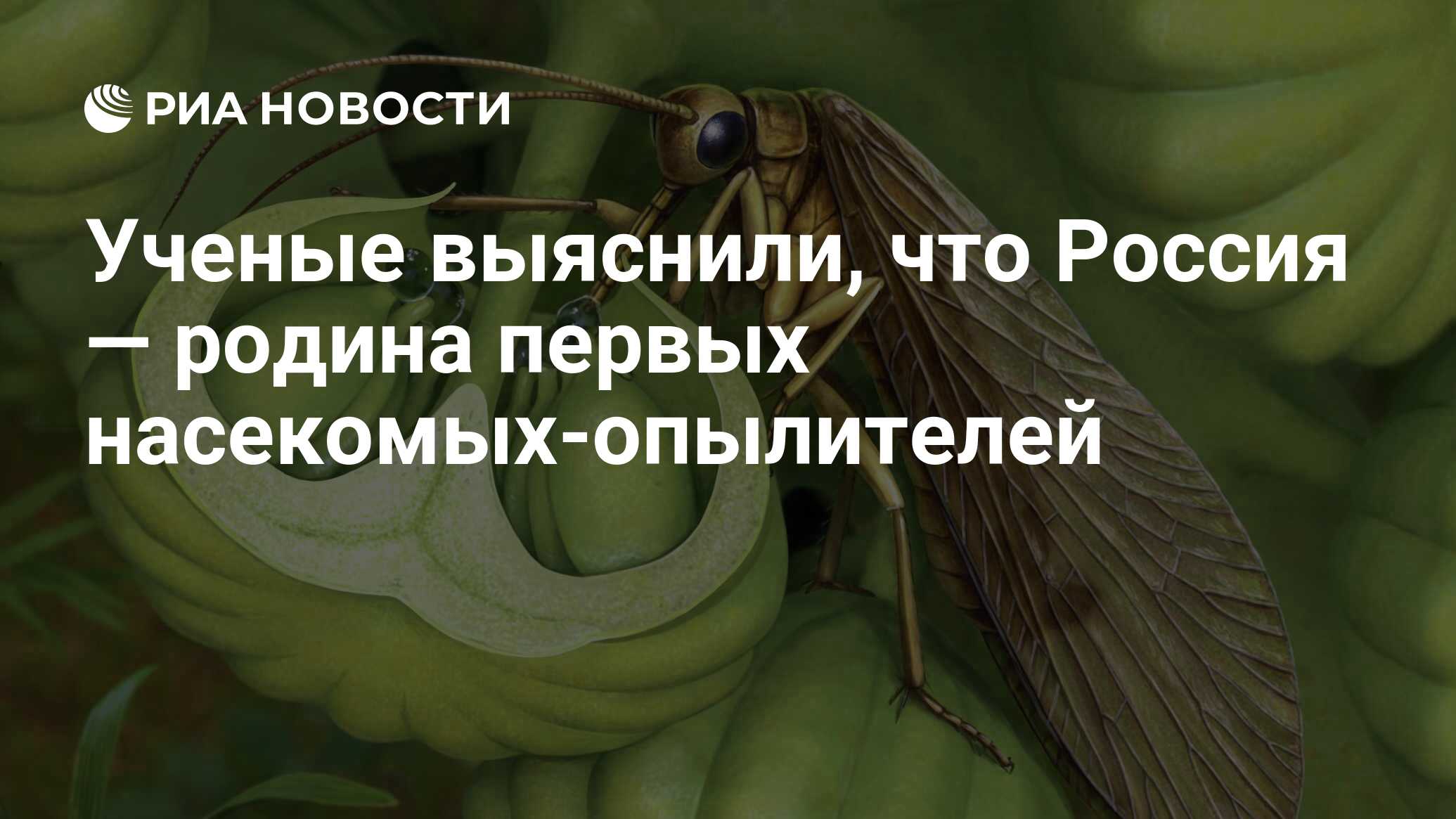 Ученые выяснили, что Россия — родина первых насекомых-опылителей - РИА  Новости, 04.08.2022