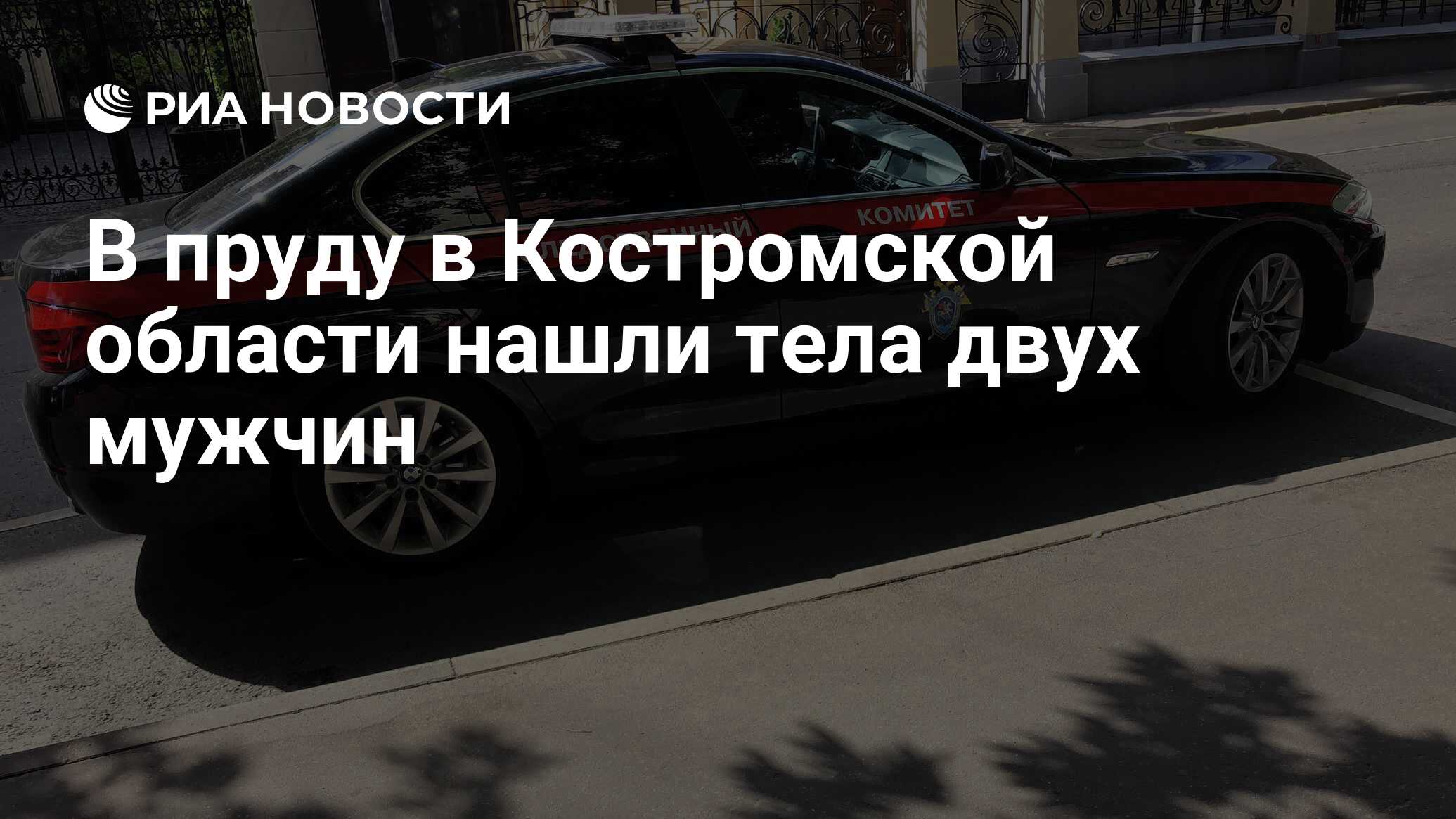 В пруду в Костромской области нашли тела двух мужчин - РИА Новости,  05.08.2022