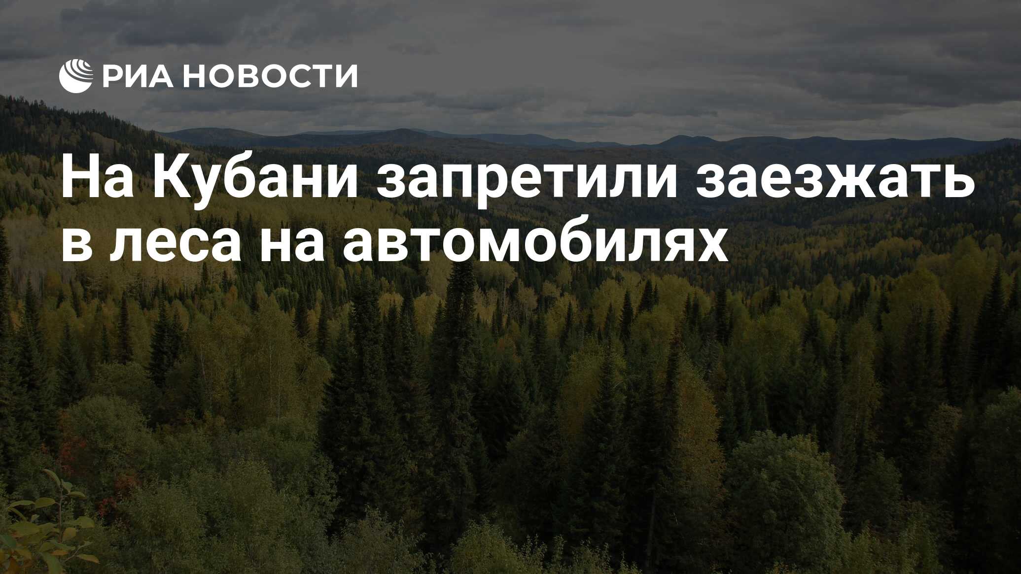 На Кубани запретили заезжать в леса на автомобилях - РИА Новости, 11.08.2022