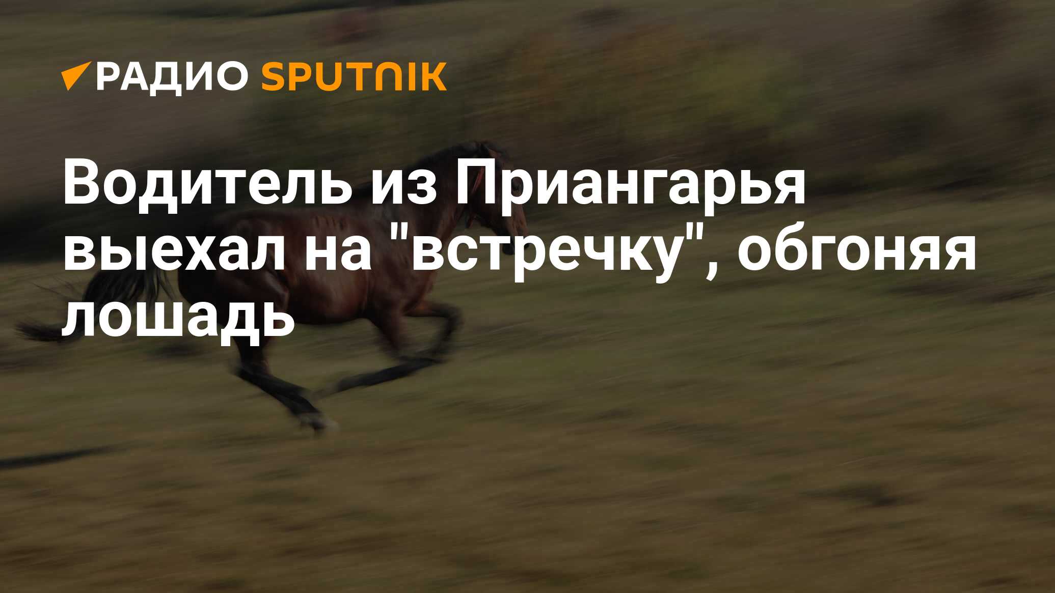 Обогнали лошадей 35 километровый марафон два человека. Никакого коня не останавливаю. Никакого коня не останавливаю, сама Пашу как.