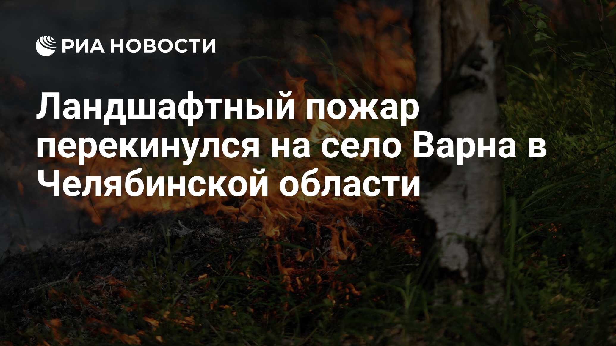 Ландшафтный пожар перекинулся на село Варна в Челябинской области - РИА  Новости, 31.08.2022