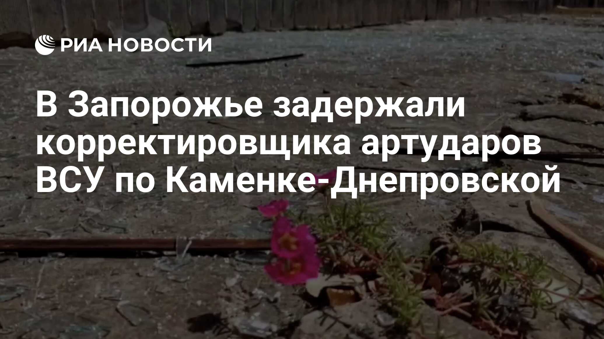 В Запорожье задержали корректировщика артударов ВСУ по Каменке ...