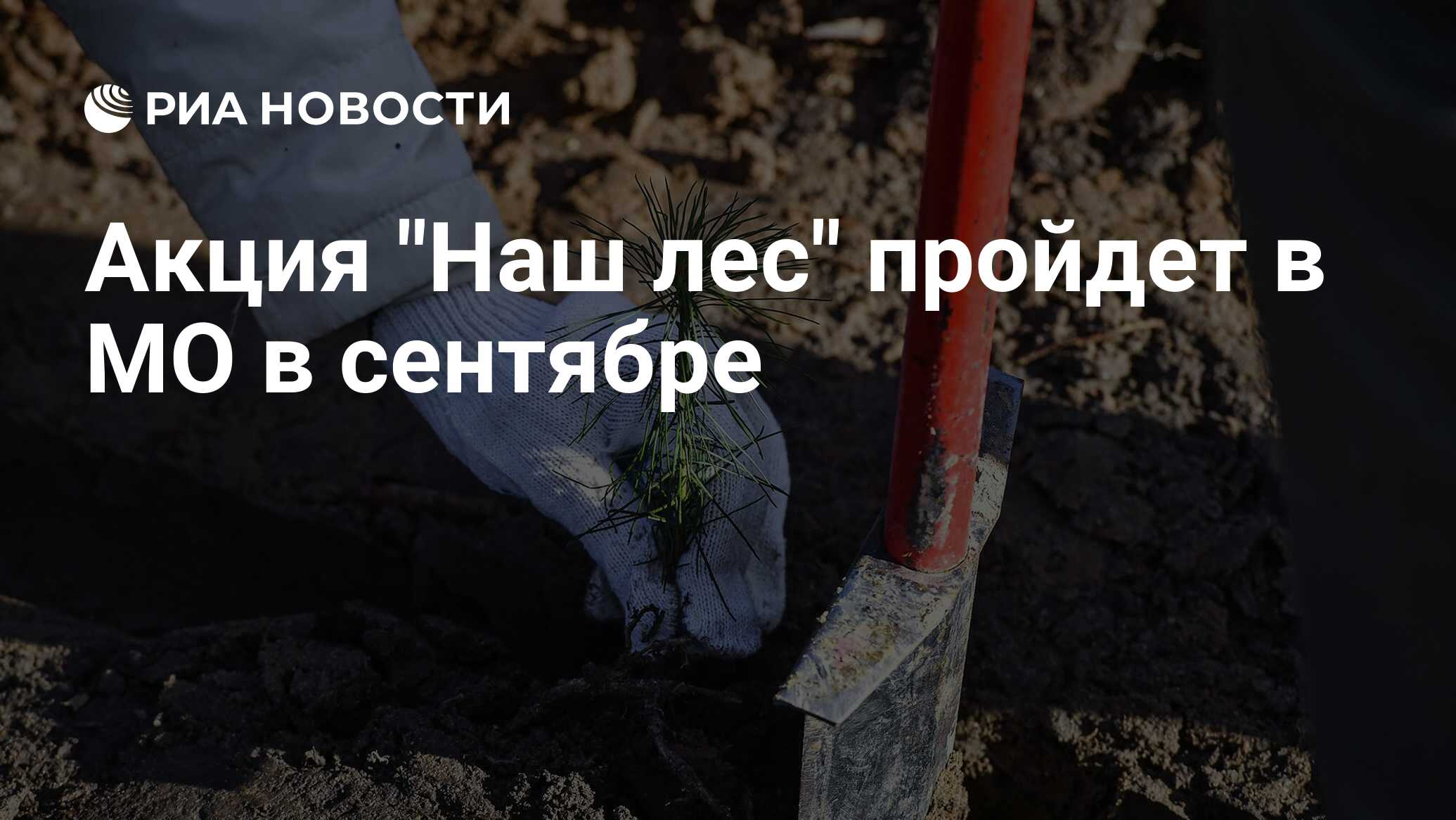 Акция "Наш лес" пройдет в МО в сентябре - РИА Новости, 08.09.2022