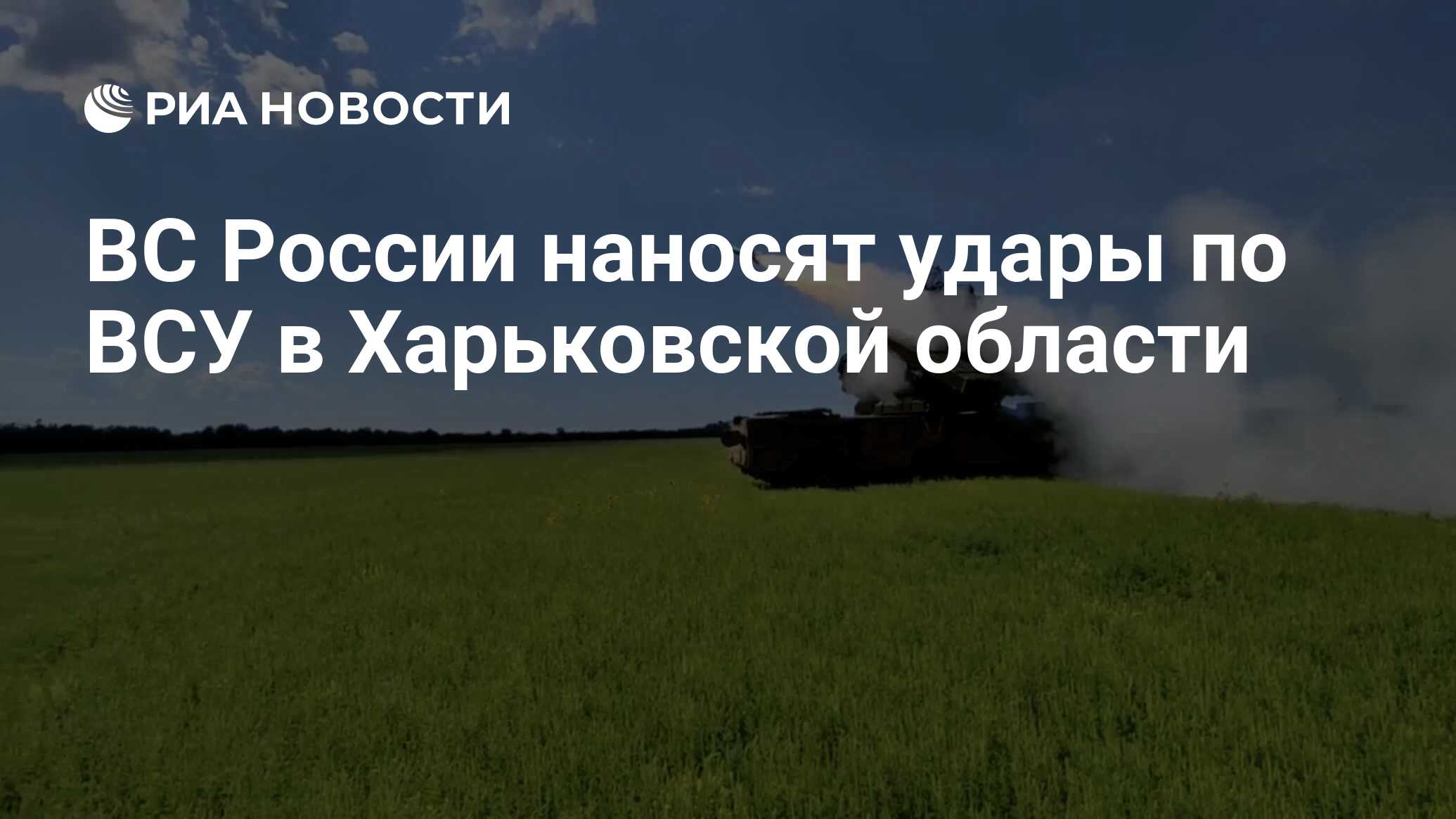 Куда можно наносить удары резиновой палкой в картинках