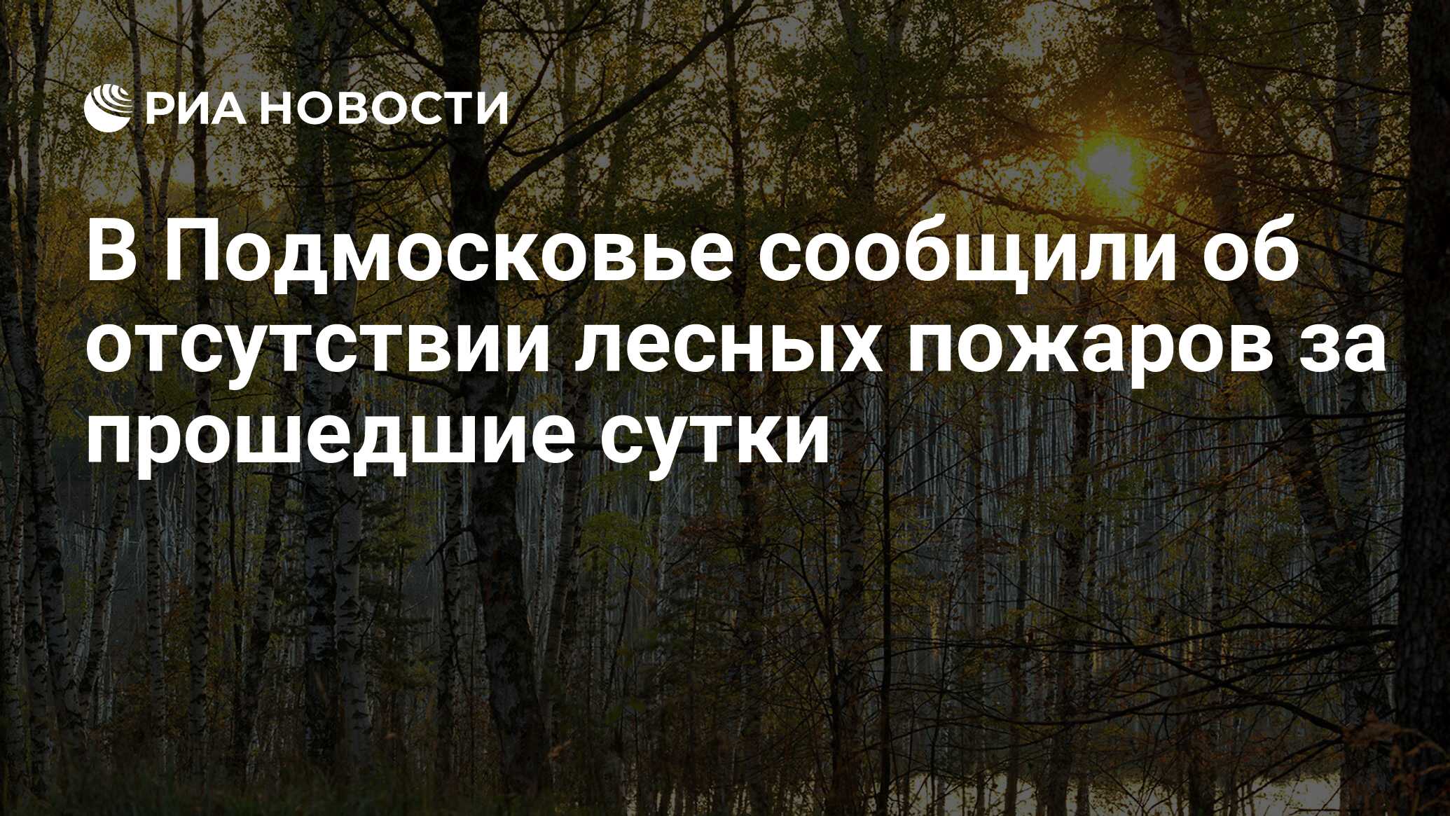 Российский день леса