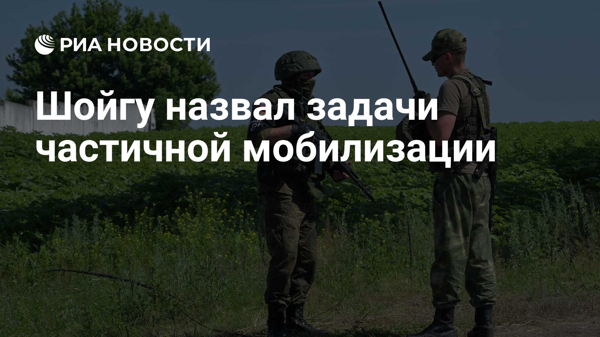 Шойгу назвал глупостью дополнительную мобилизацию. Шойгу назвал глупостью дополнительную мобилизацию